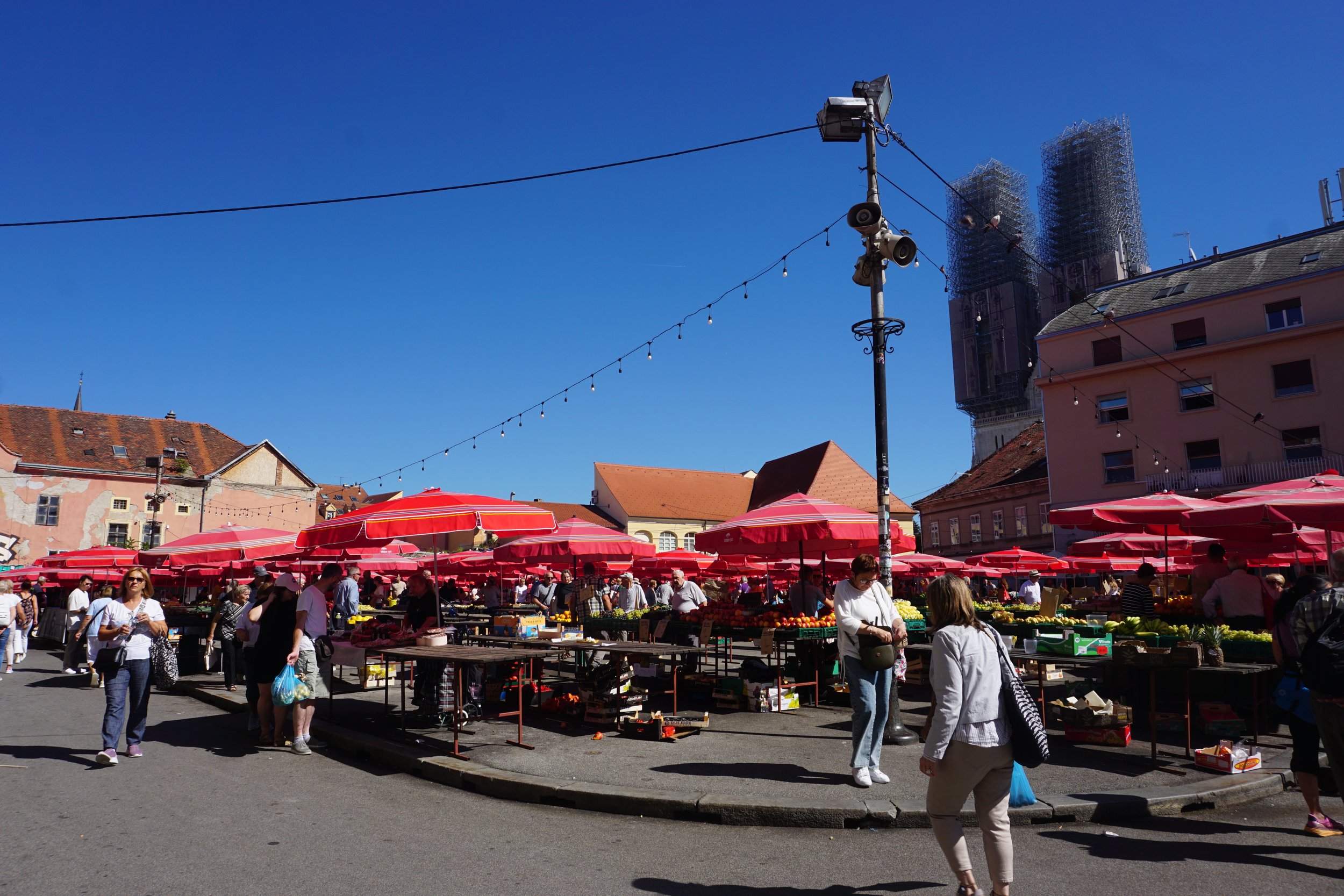 DSC03505.JPG