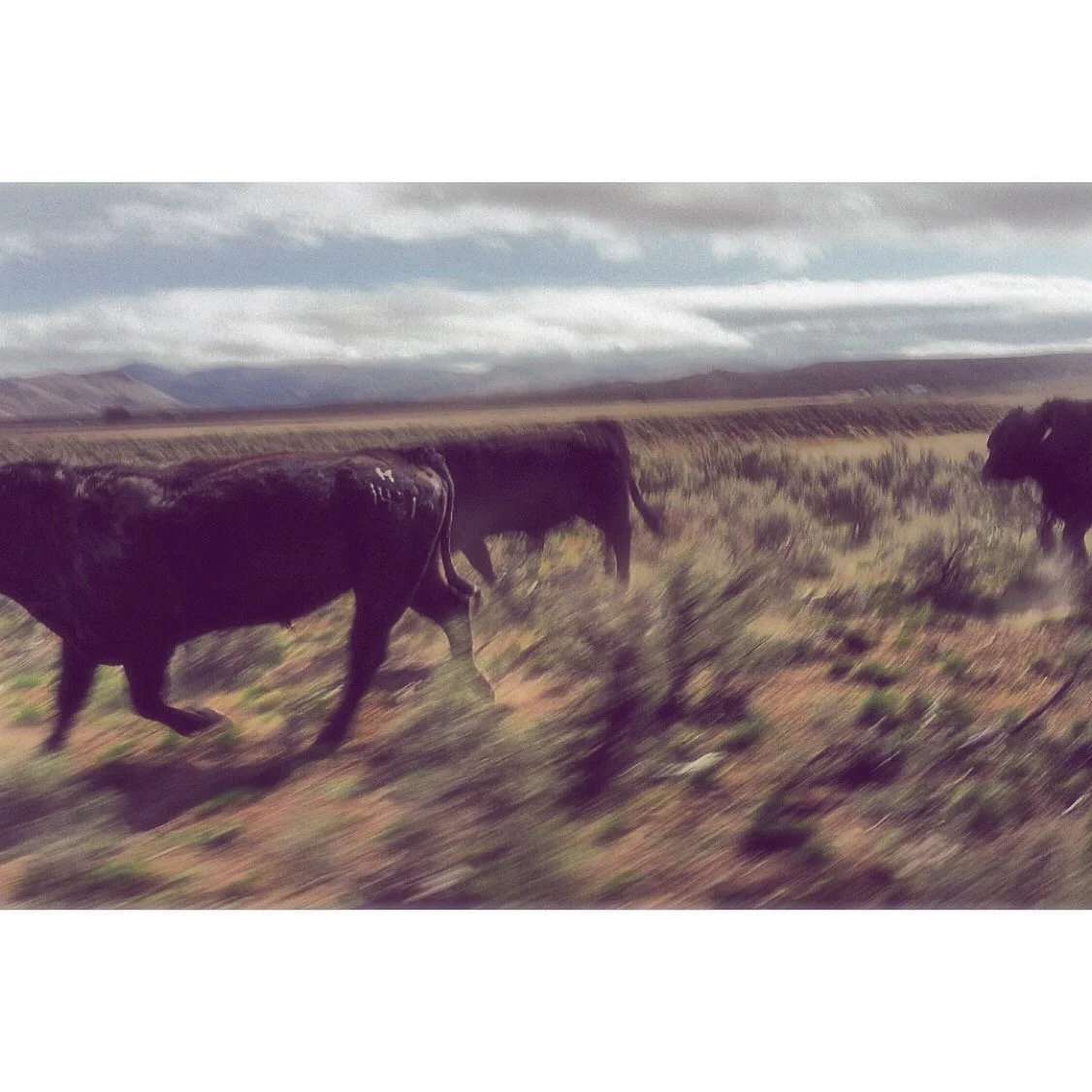 outside. 
photographic image.