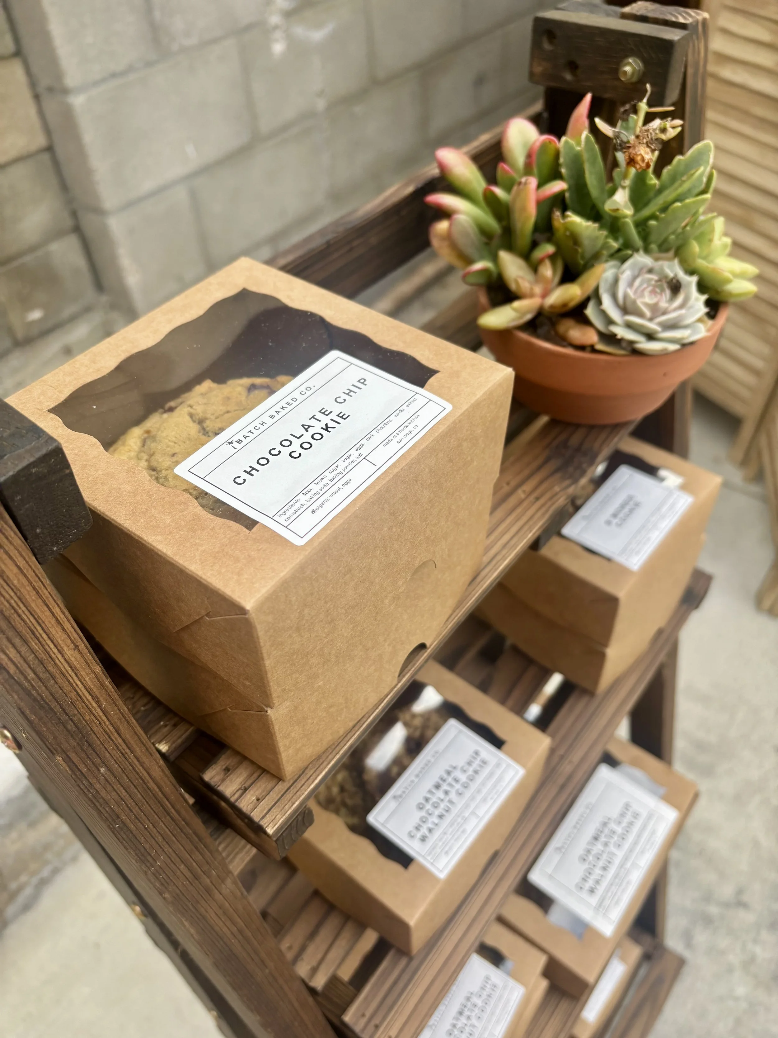 A brown cardboard box labeled 'Chocolate Chip Cookie' on a wooden shelf. Beside it, a terracotta pot with a variety of colorful succulent plants.