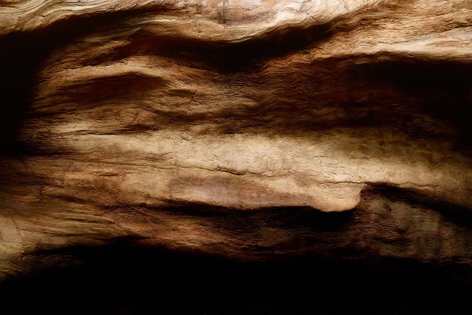 Petrified Wood - Redwoods.jpg