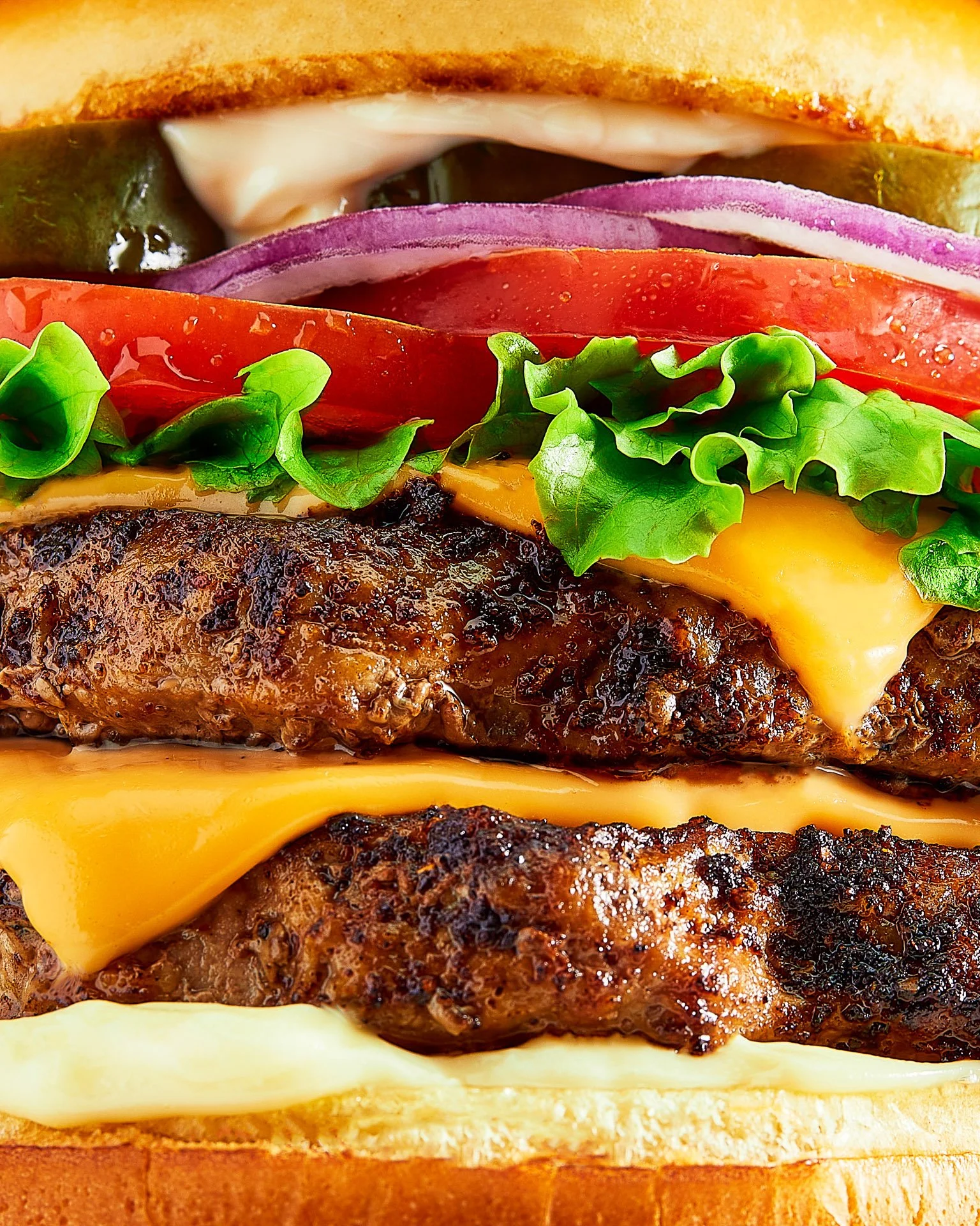 Burger Macro 4x5.jpg