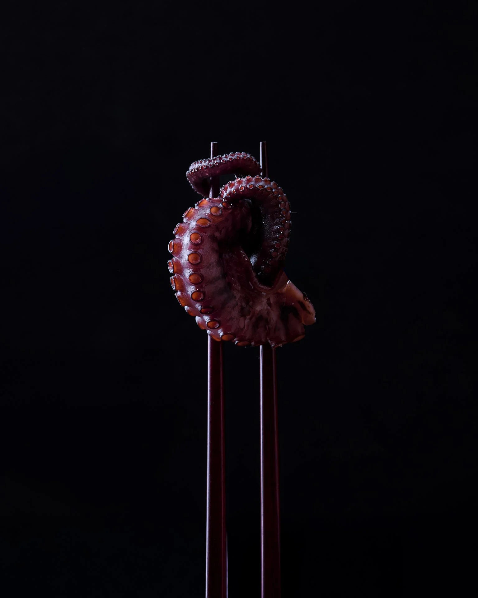 Octopus on chopsticks.jpg