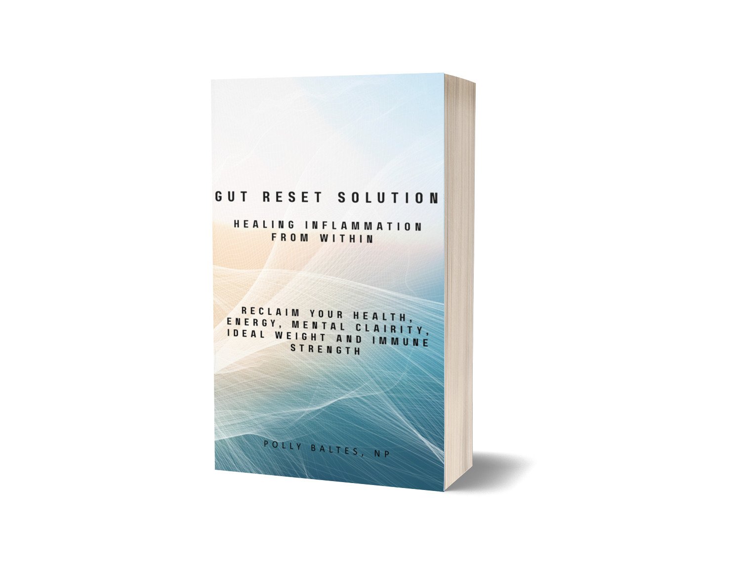 gut inflammation book cover.jpg
