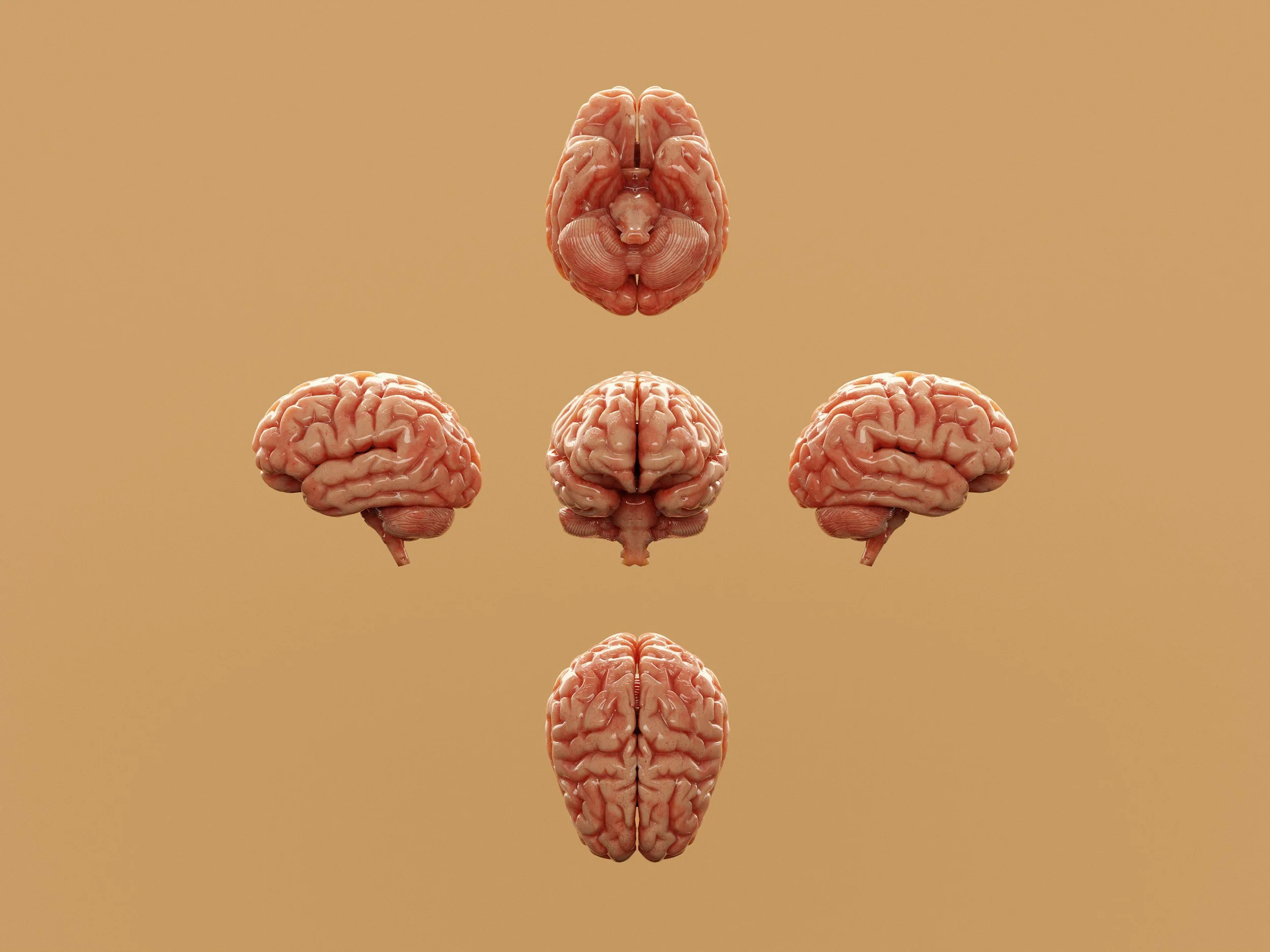 When We're Still Learning How We Think and Learn