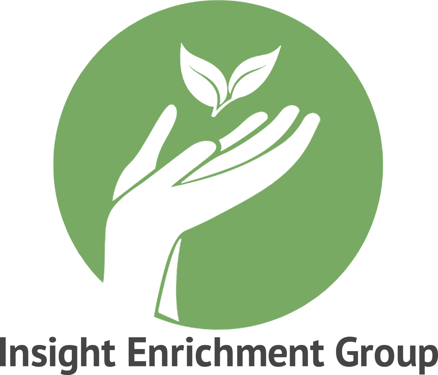 Insight Enrichment.png