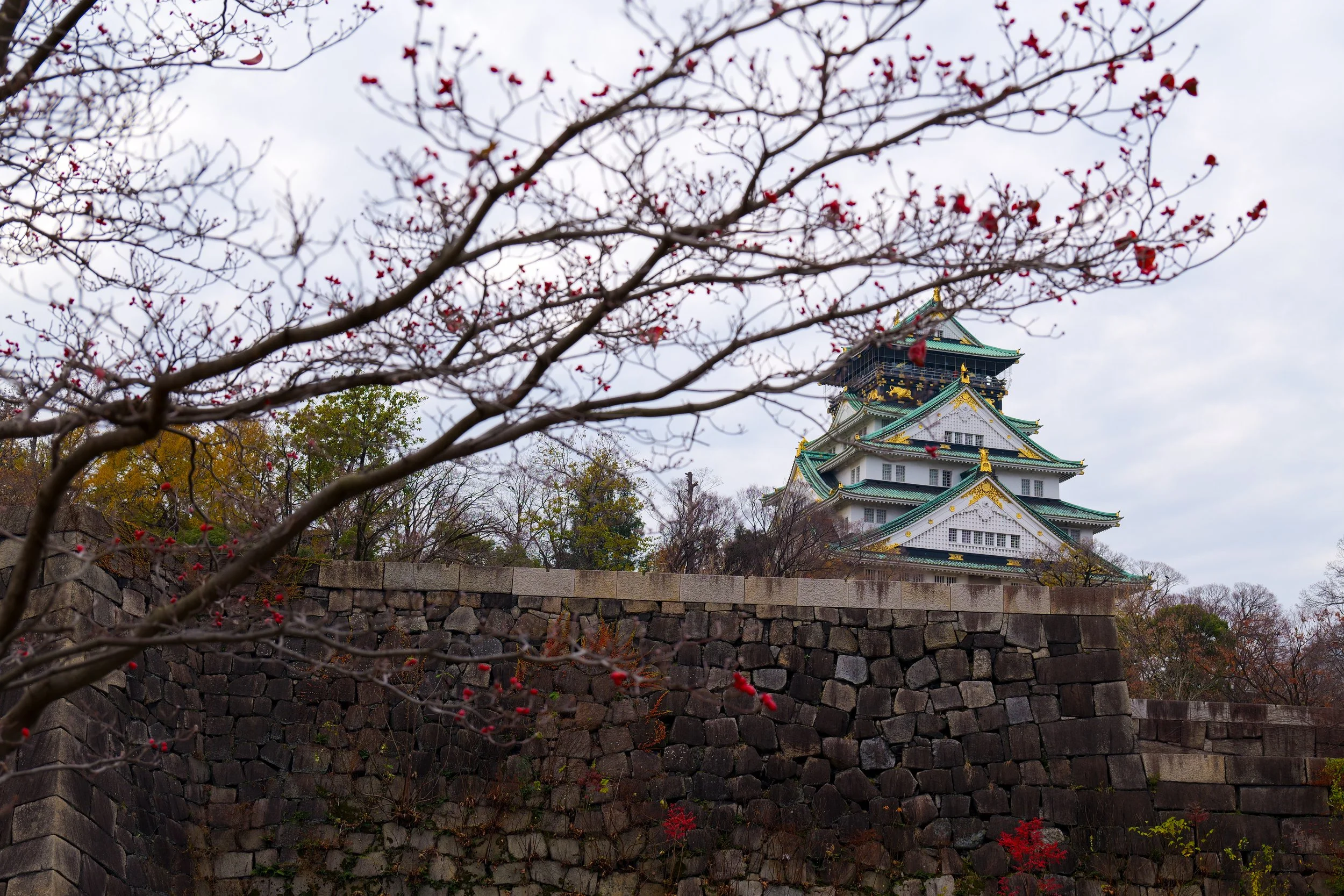 Osaka Caste.jpg