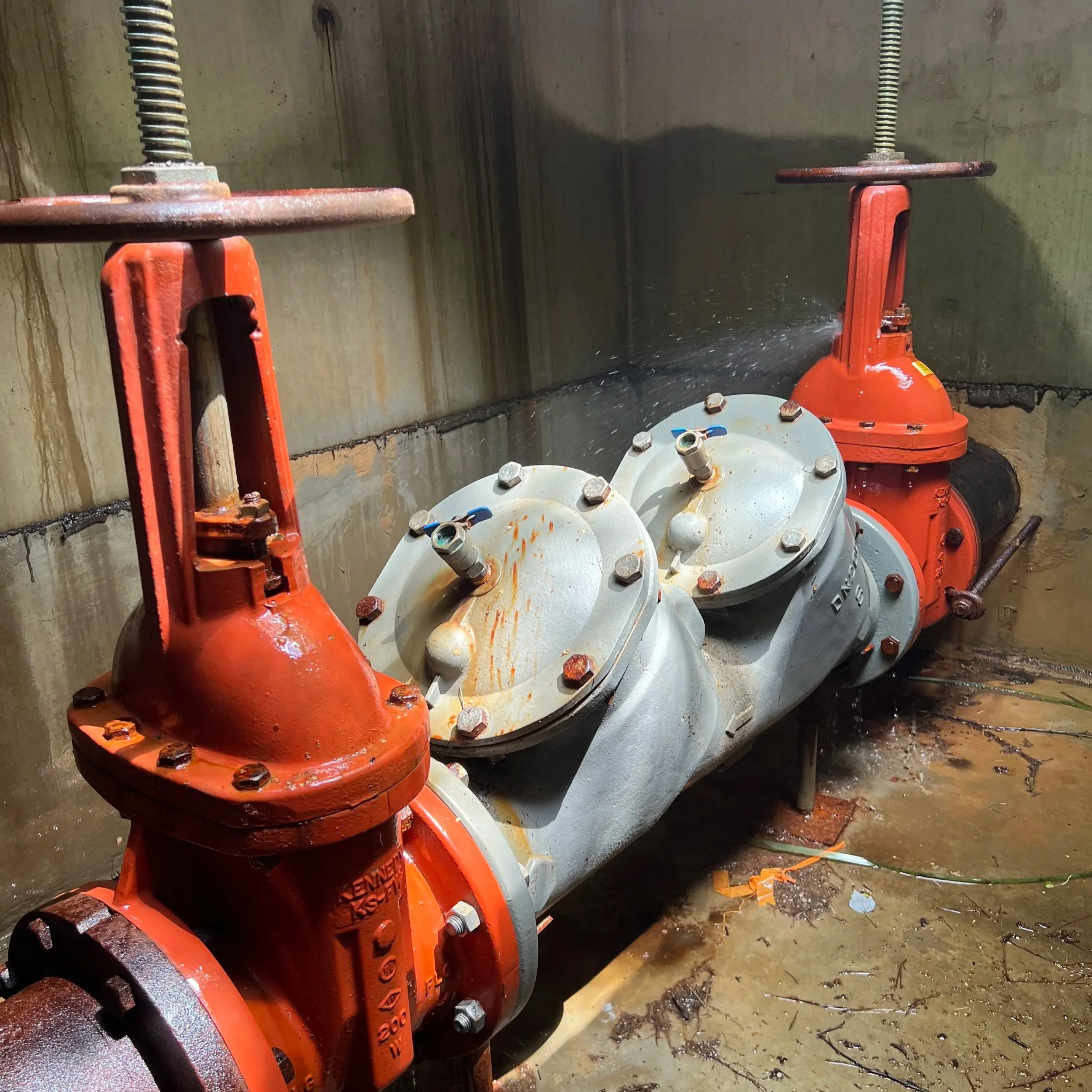 Gate Valve Backflow Device