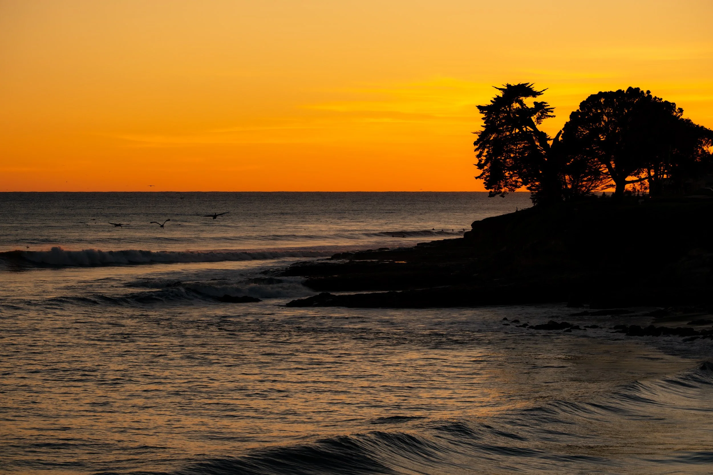 Sunset over the ocean with orange and yellow sky, silhouetted trees on rocky shoreline, and birds flying across the water.