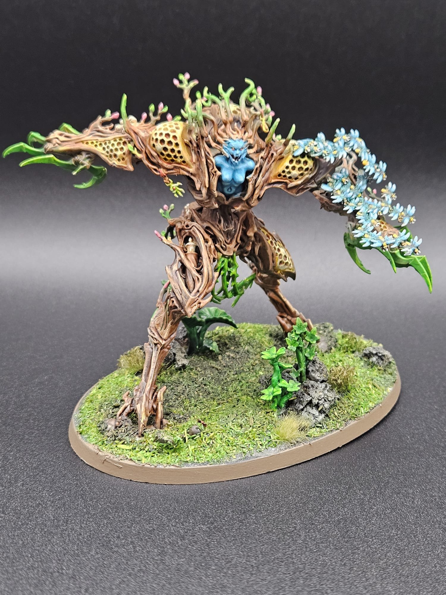 Drycha Hamadreth, Sylvaneth