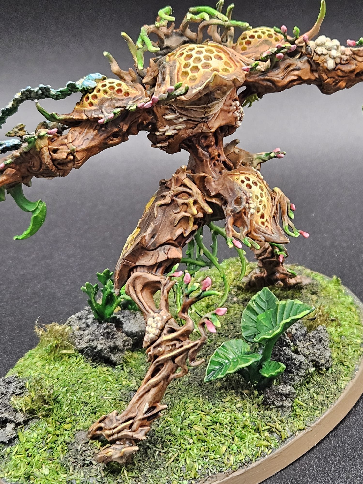 Drycha Hamadreth, Sylvaneth