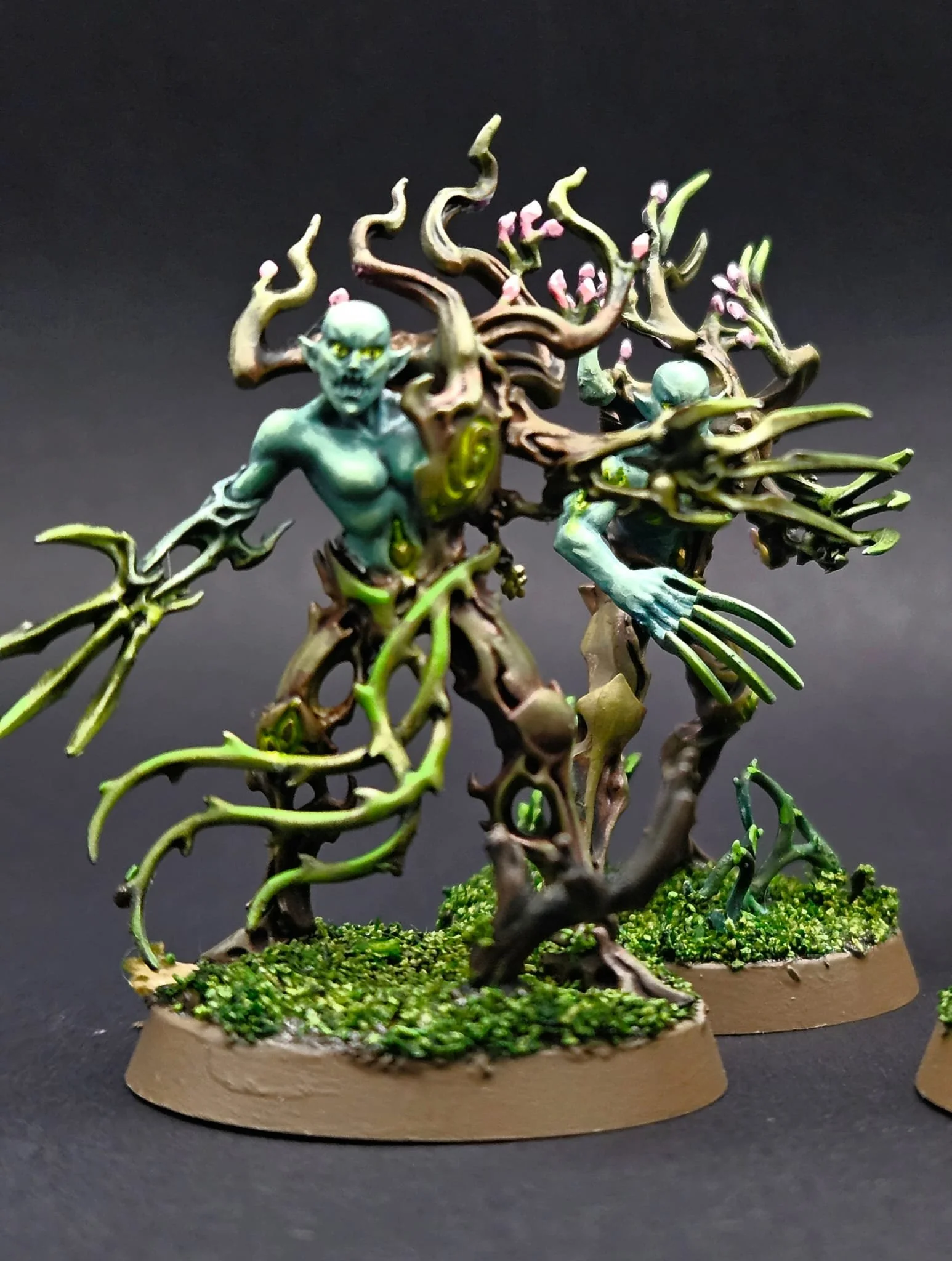 Spite-Revenants, Sylvaneth
