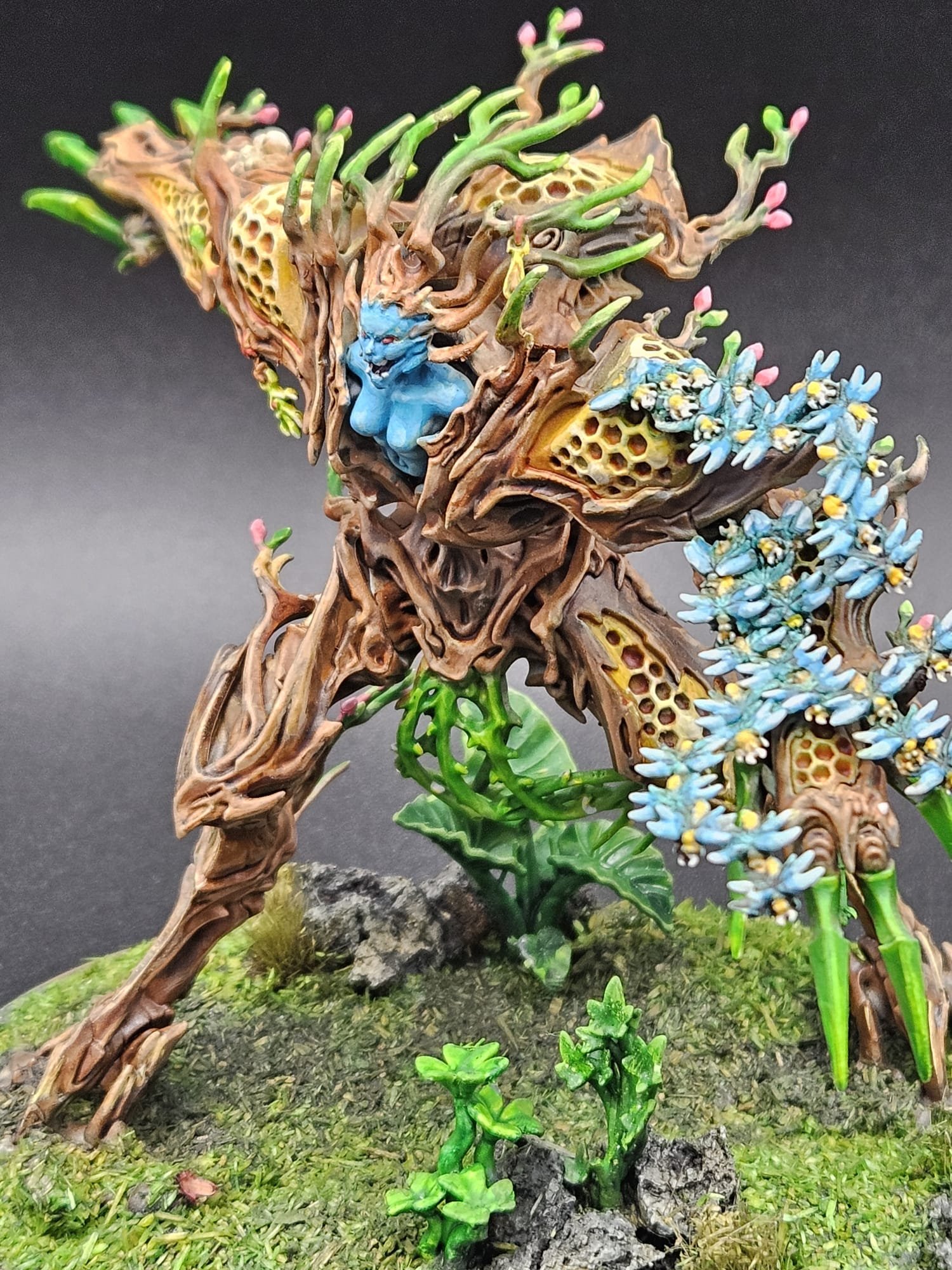 Drycha Hamadreth, Sylvaneth