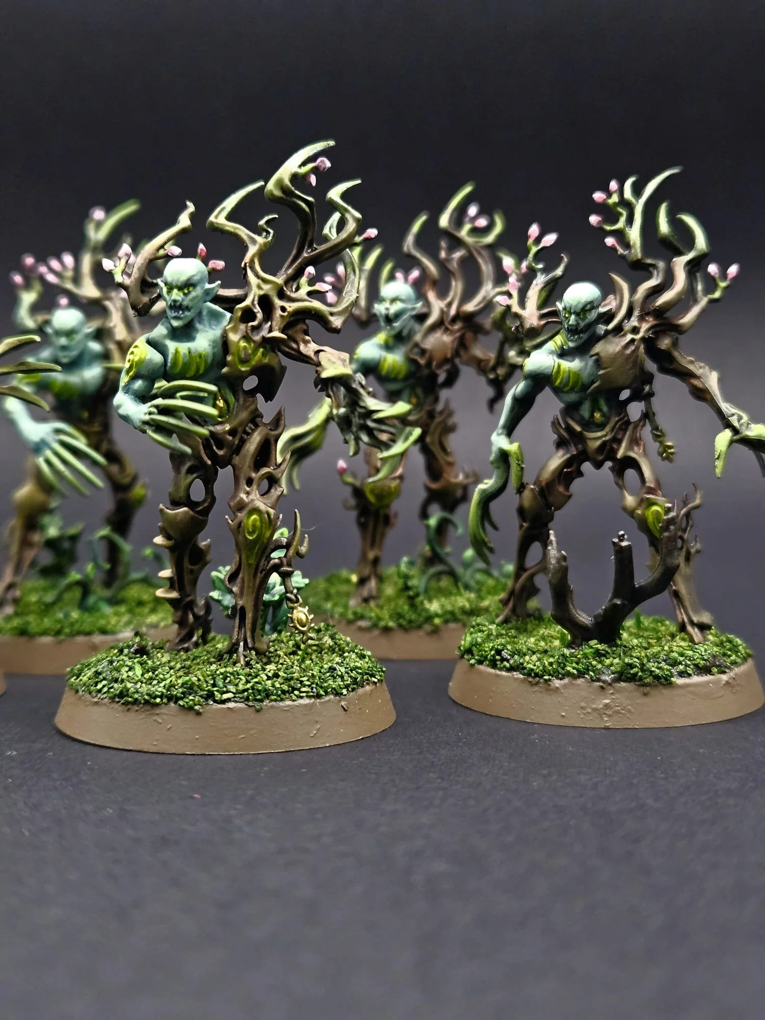 Spite-Revenants, Sylvaneth