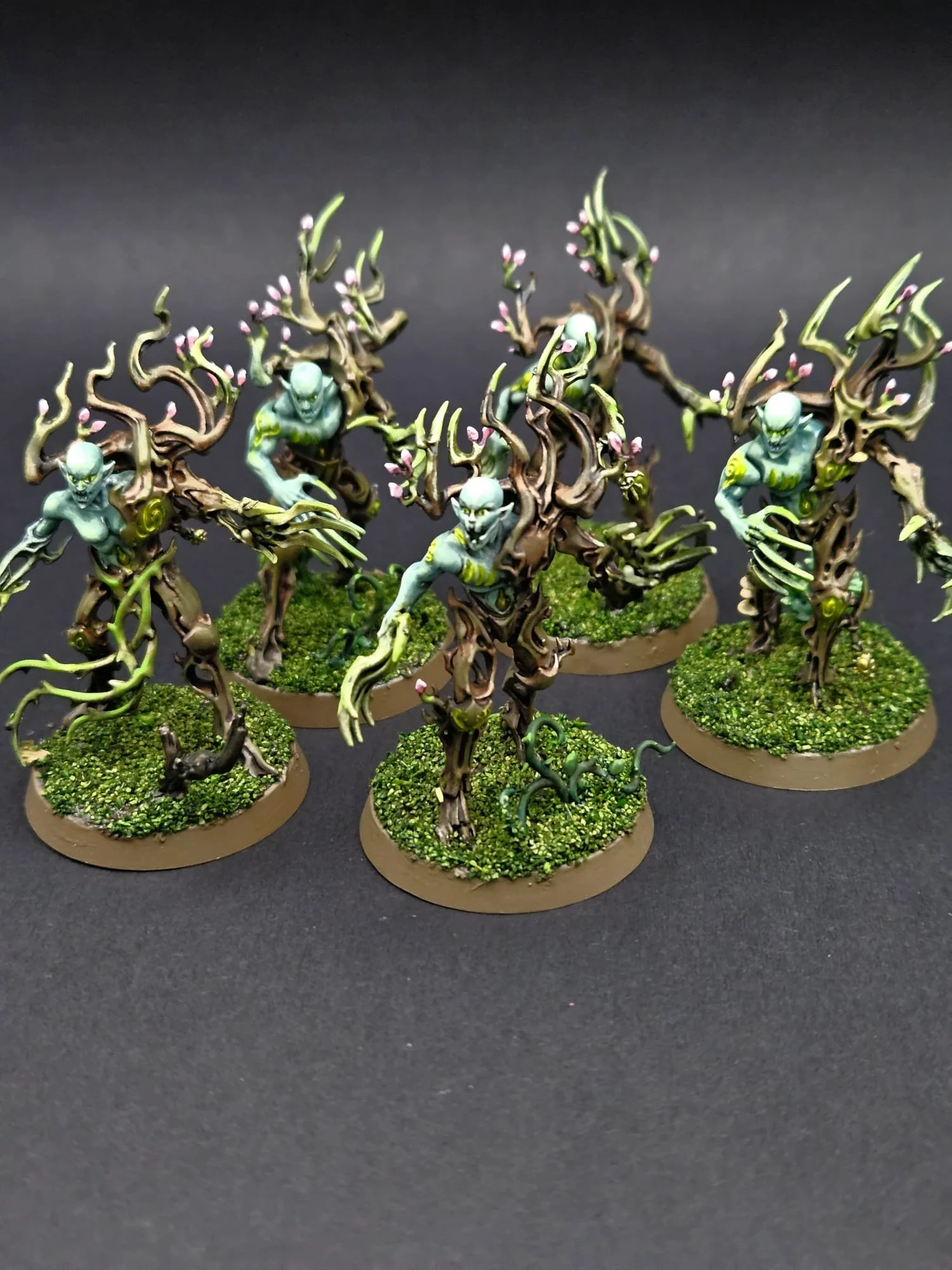 Spite-Revenants, Sylvaneth