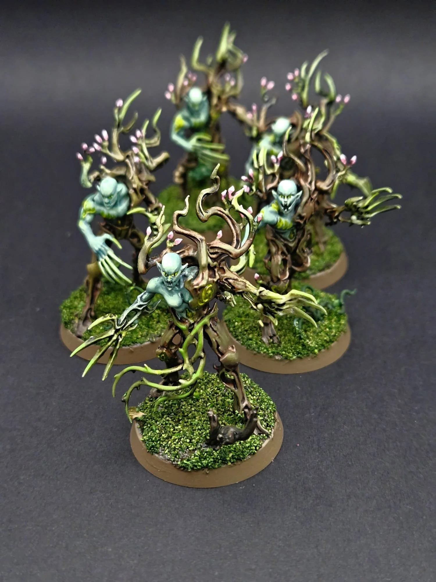 Spite-Revenants, Sylvaneth