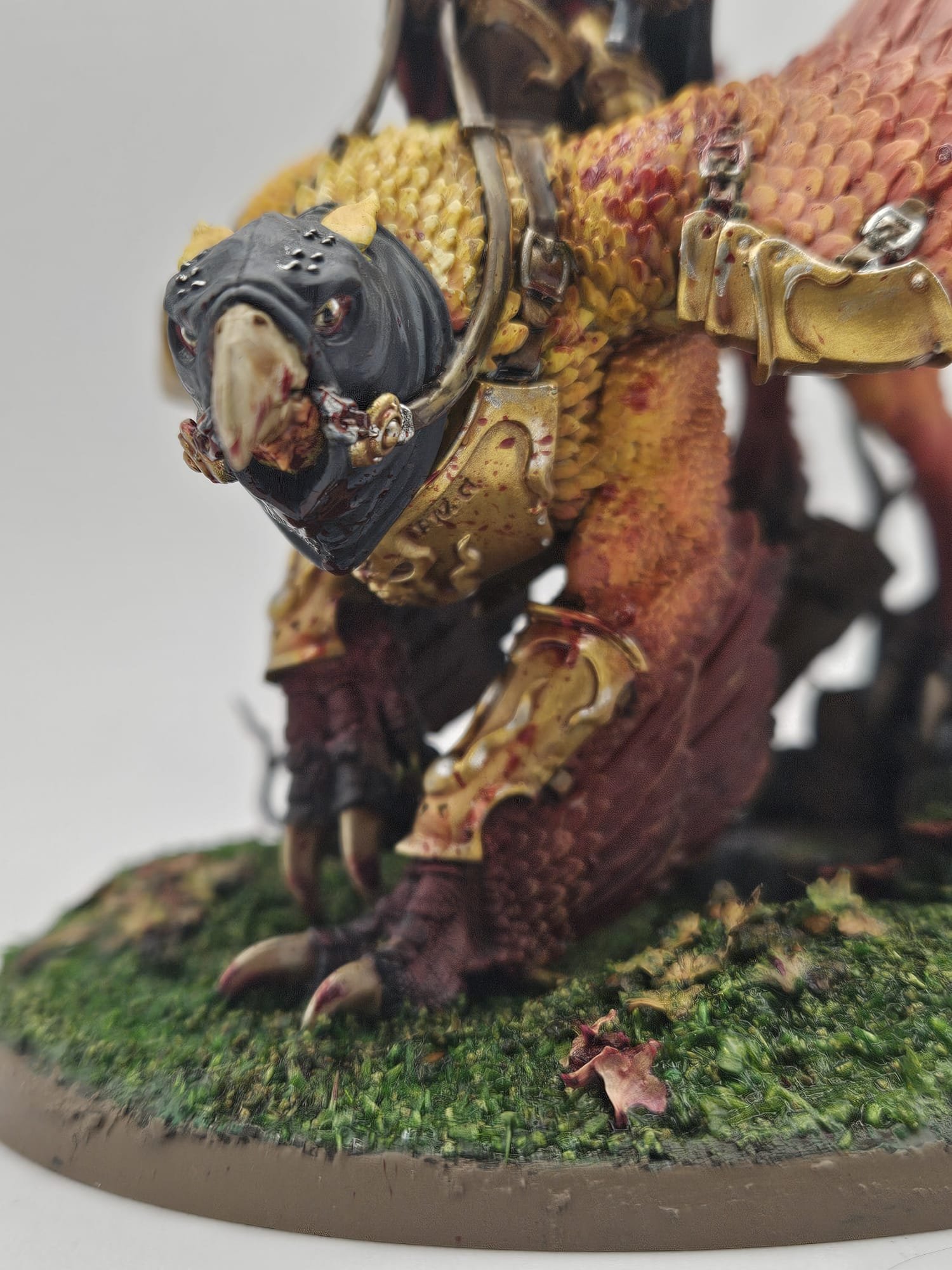 Iridan the Witness, Stormcast