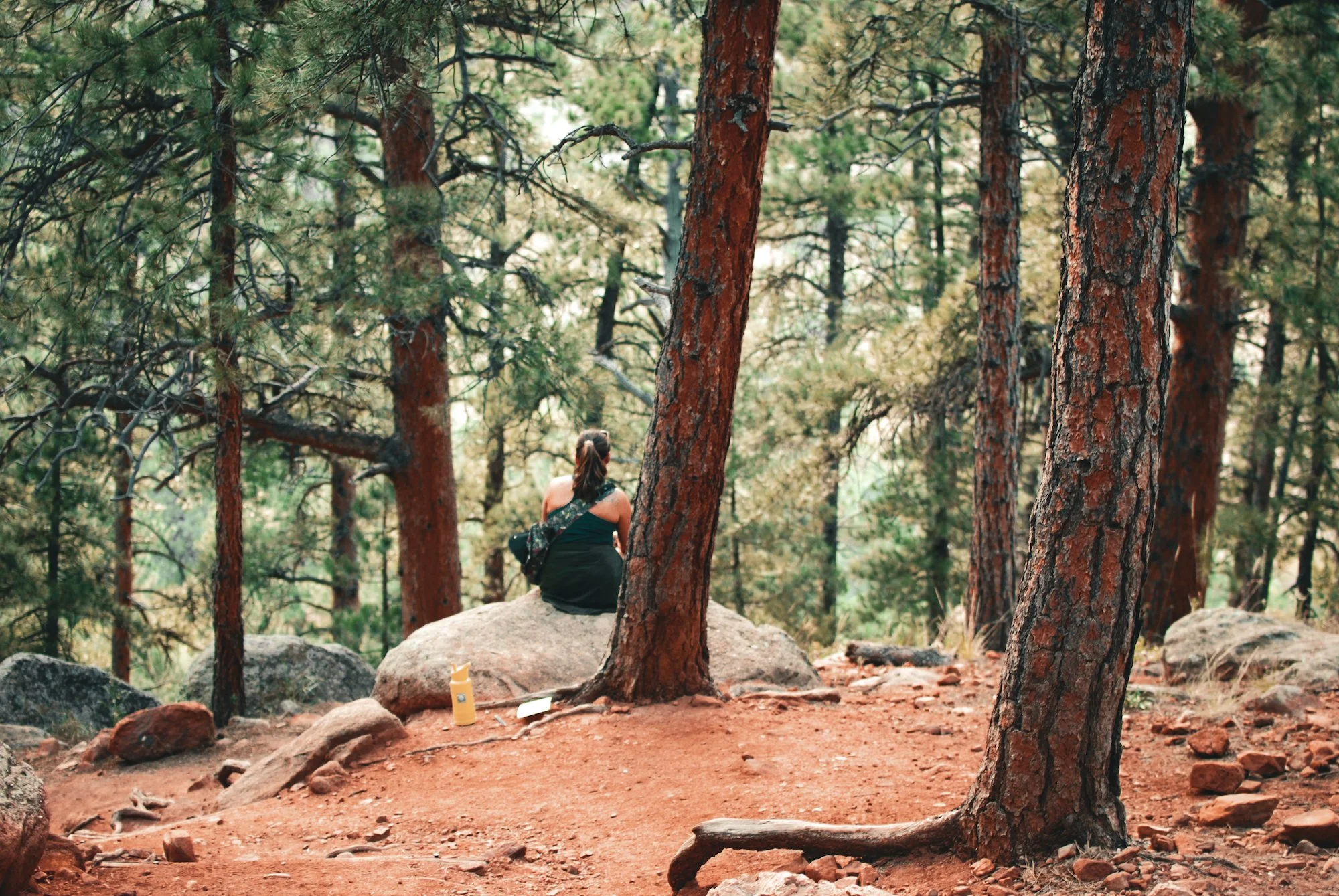 yoga and art hike-01.jpg