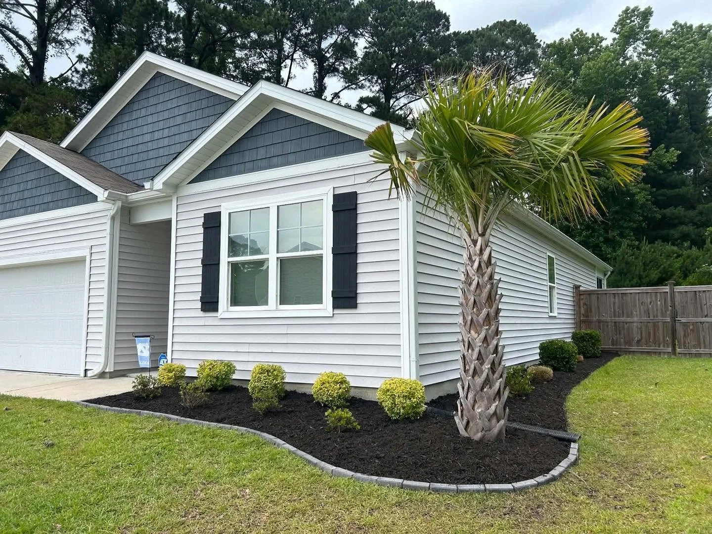 A white house with black shutters, a window in the front yard, and a landscaping bed with a palm tree and small bushes. There is a wooden fence and trees in the background.