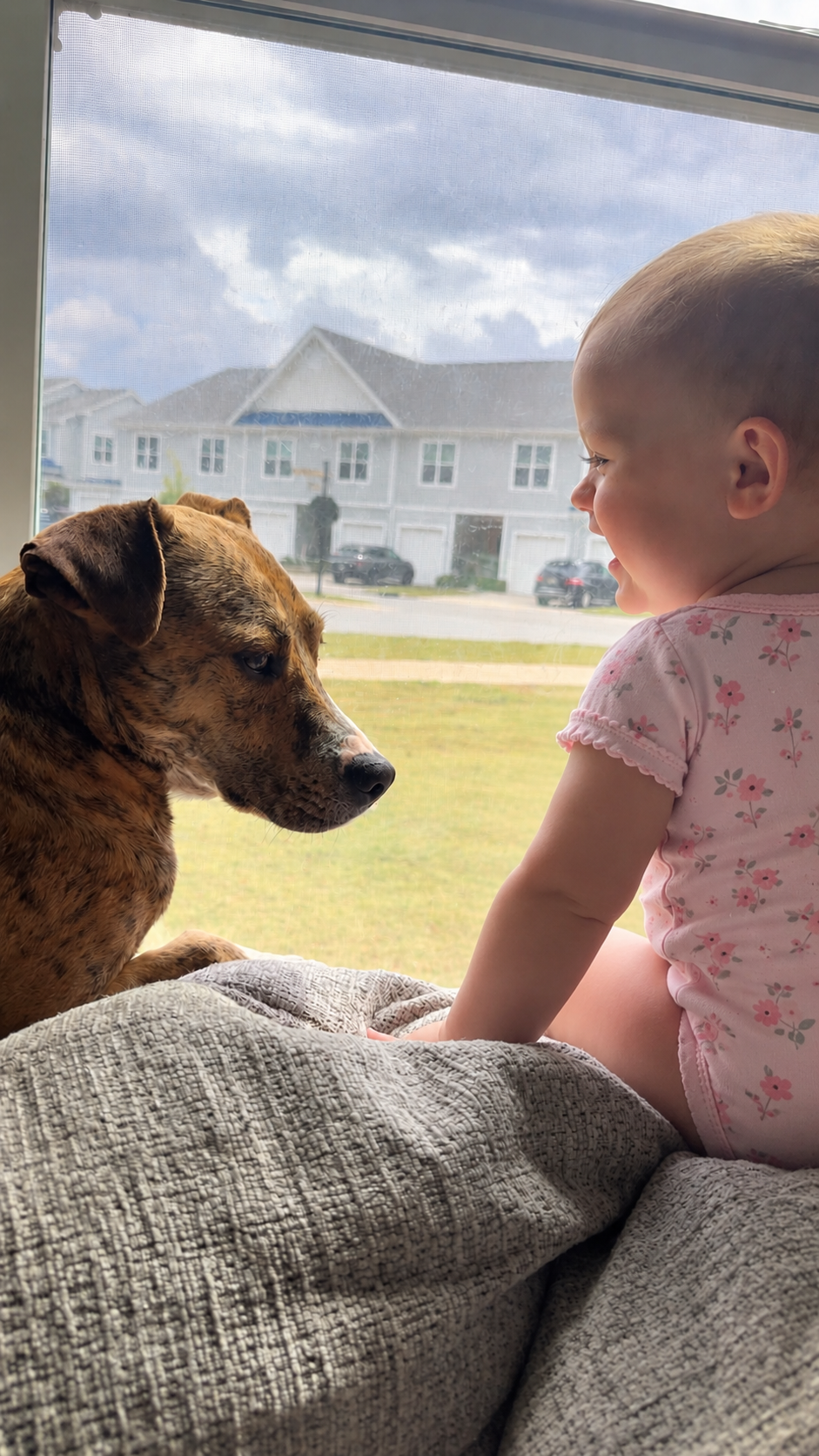 A young girl with short blonde hair and a pink floral shirt sitting on a gray blanket, facing a brown and black dog sitting by a window, with suburban houses and a cloudy sky in the background.