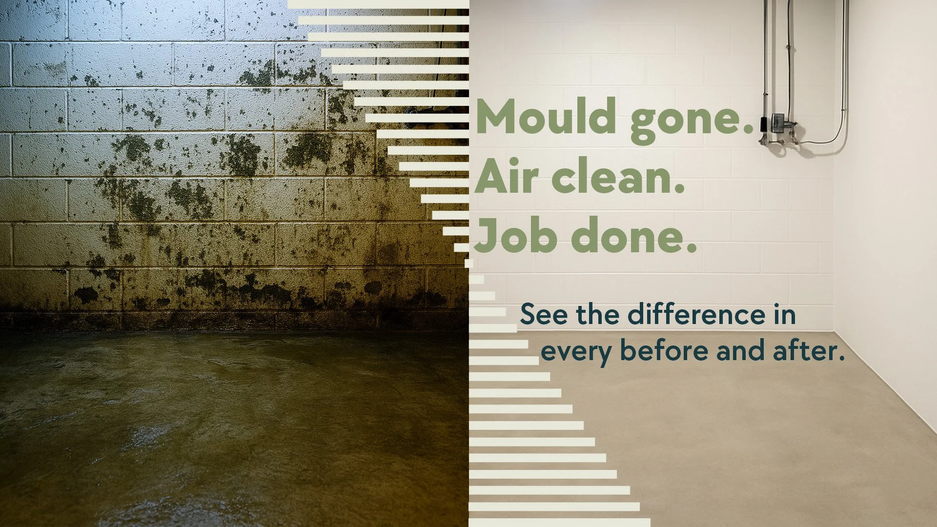 mold_before4.jpg