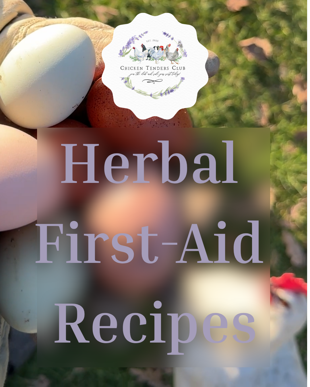 CHICKEN TENDERS CLUB (6).png