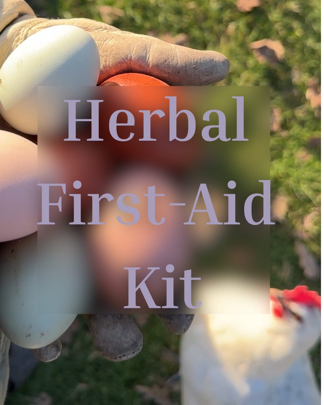 CHICKEN TENDERS CLUB (4).png