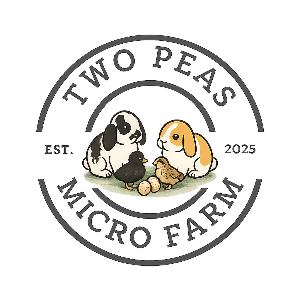 ChatGPT Image Jan 4, 2026, 09_54_02 PM.png