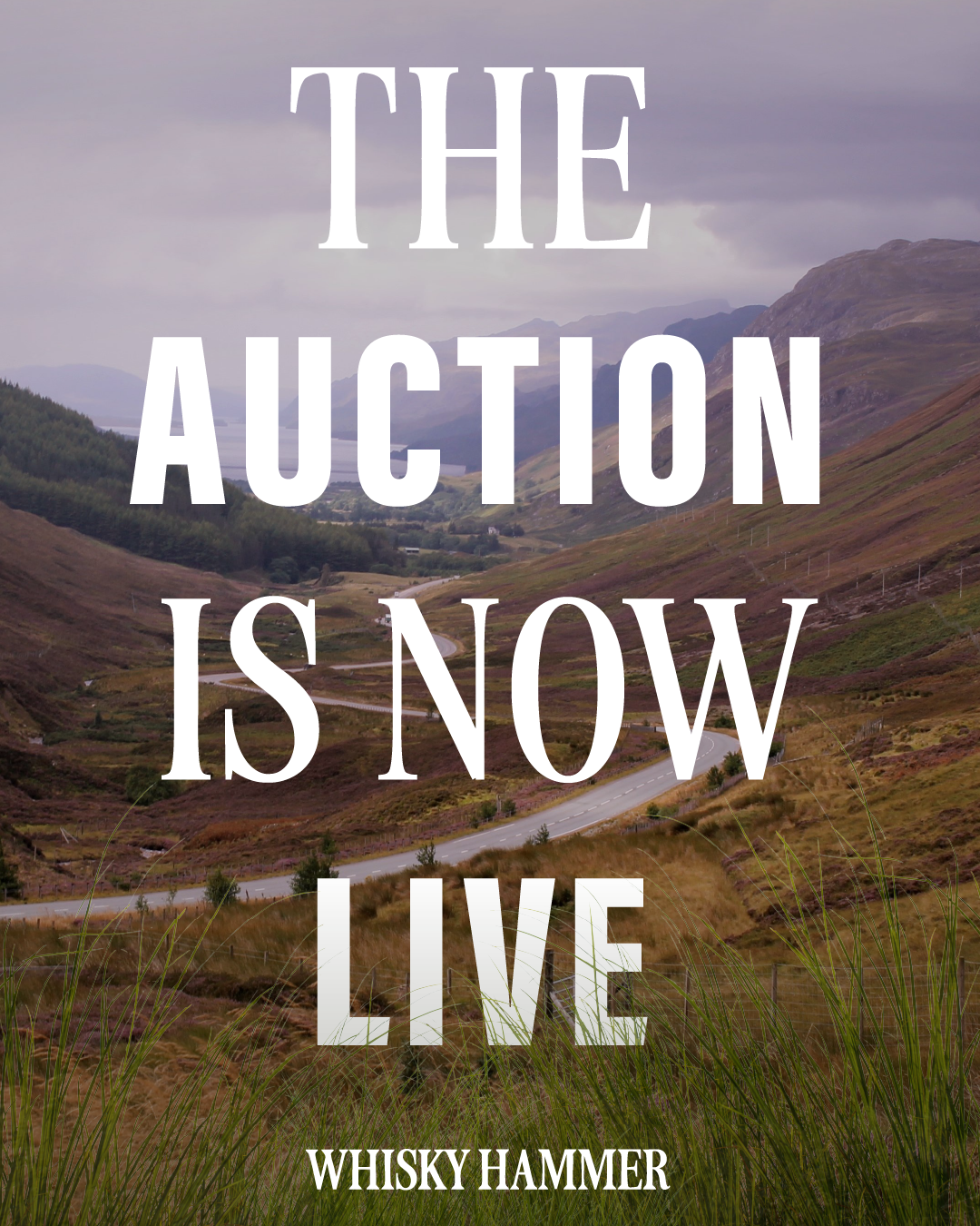 feb_auction-01.png