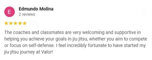 Google Review