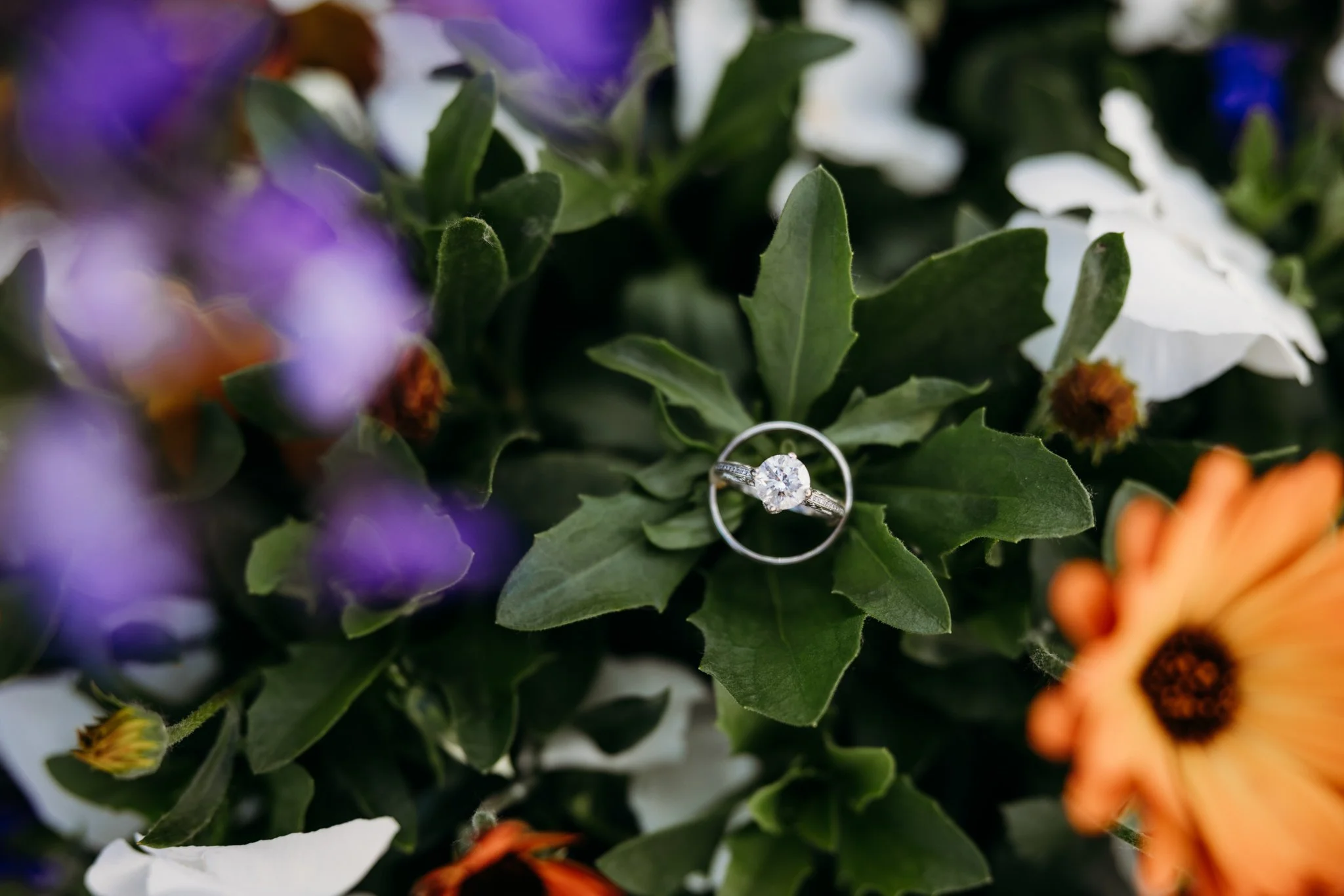 Anchorage Wedding Photographer-23.jpg