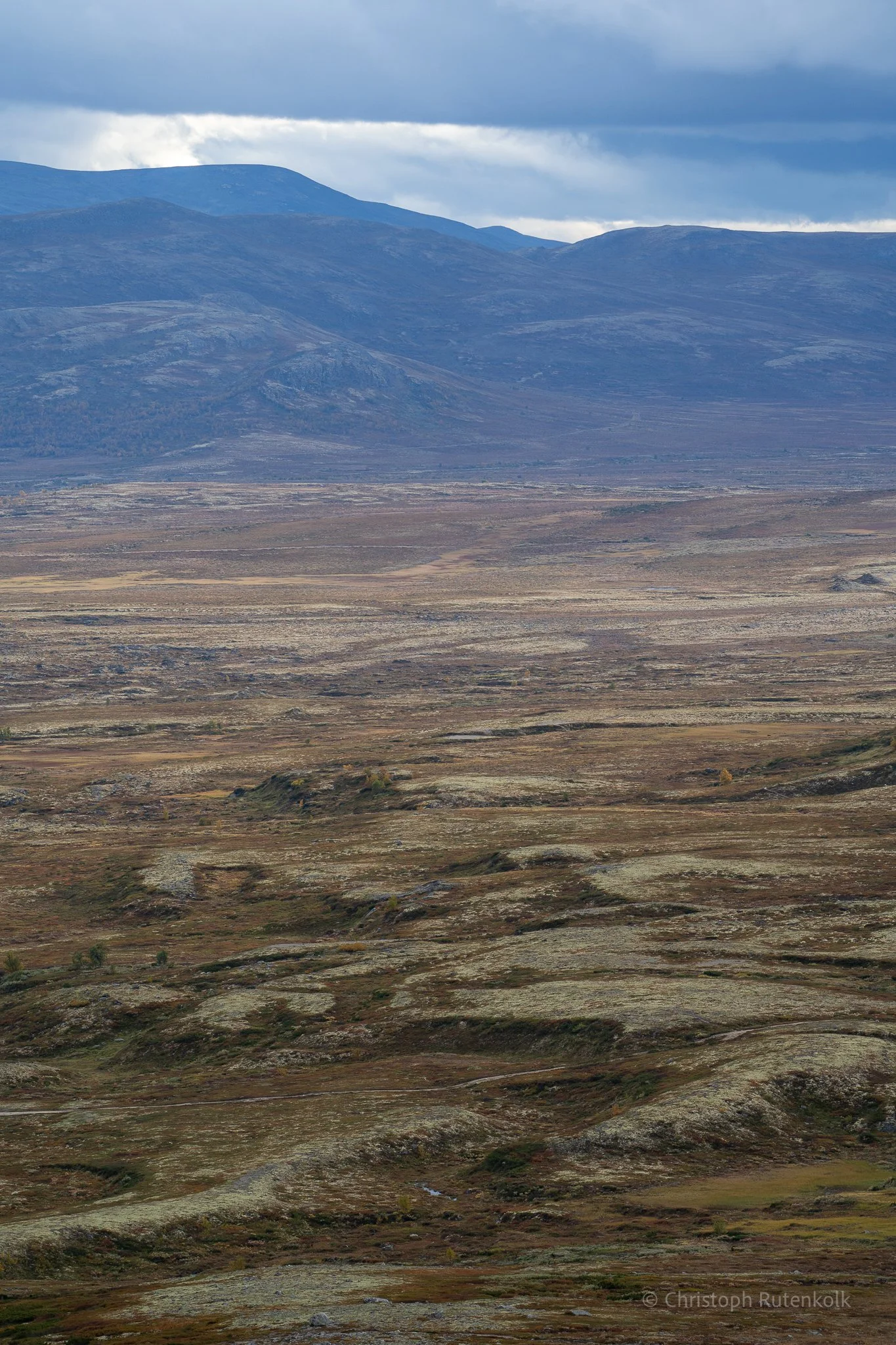 Thumbnail  selections Dovrefjell national park-17.jpg