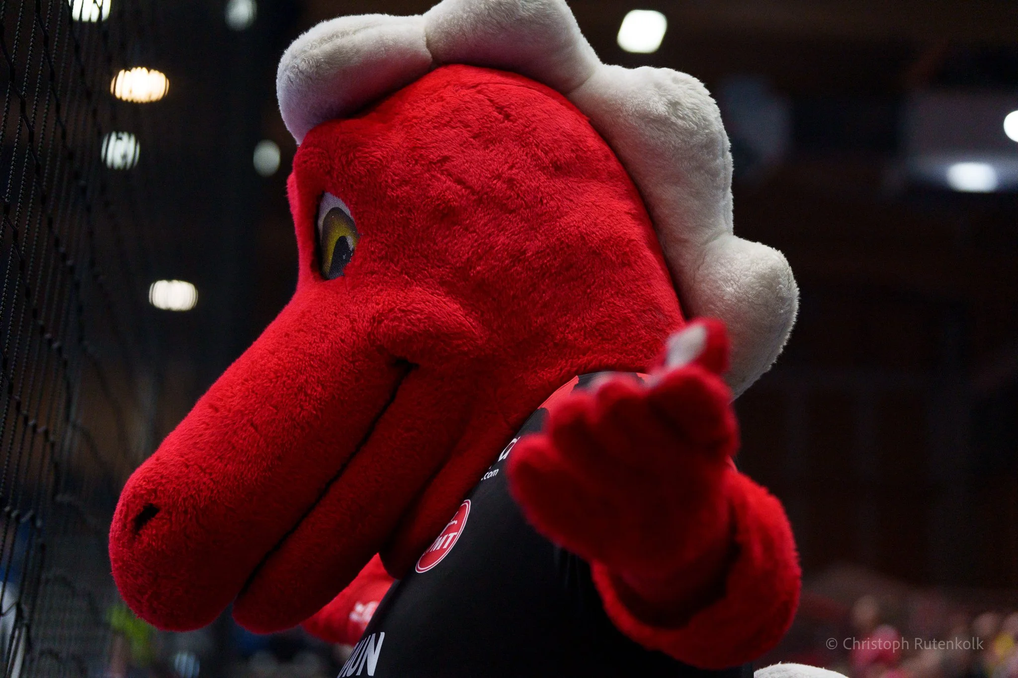 Thumbnail EHFEL Mt Melsungen vs Fc Porto-8.jpg