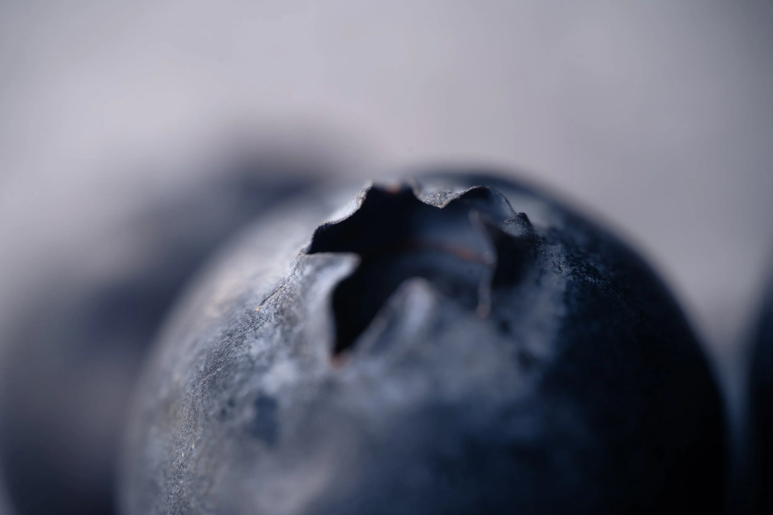 Close-up of a blueberry with focus on the crown. Copyright Photography - Christoph Rutenkolk