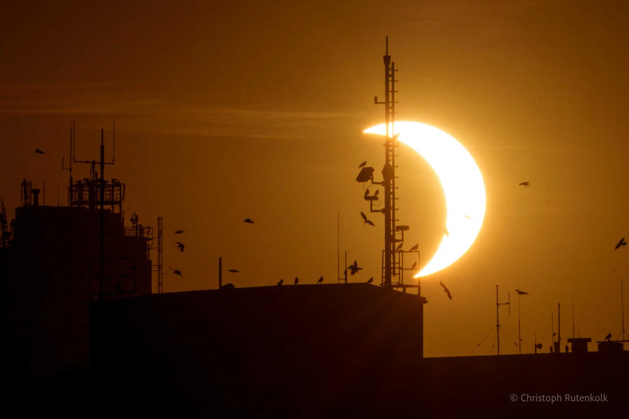 Sun, Sunrays, covered, cover, astronomy, special event, outstanding, happening, skyline, sunset, orange, red, moon, astronomical event, astrophotography, celestial, celestial event, cosmos, cosmic event, europe, rare event, european sky, sky