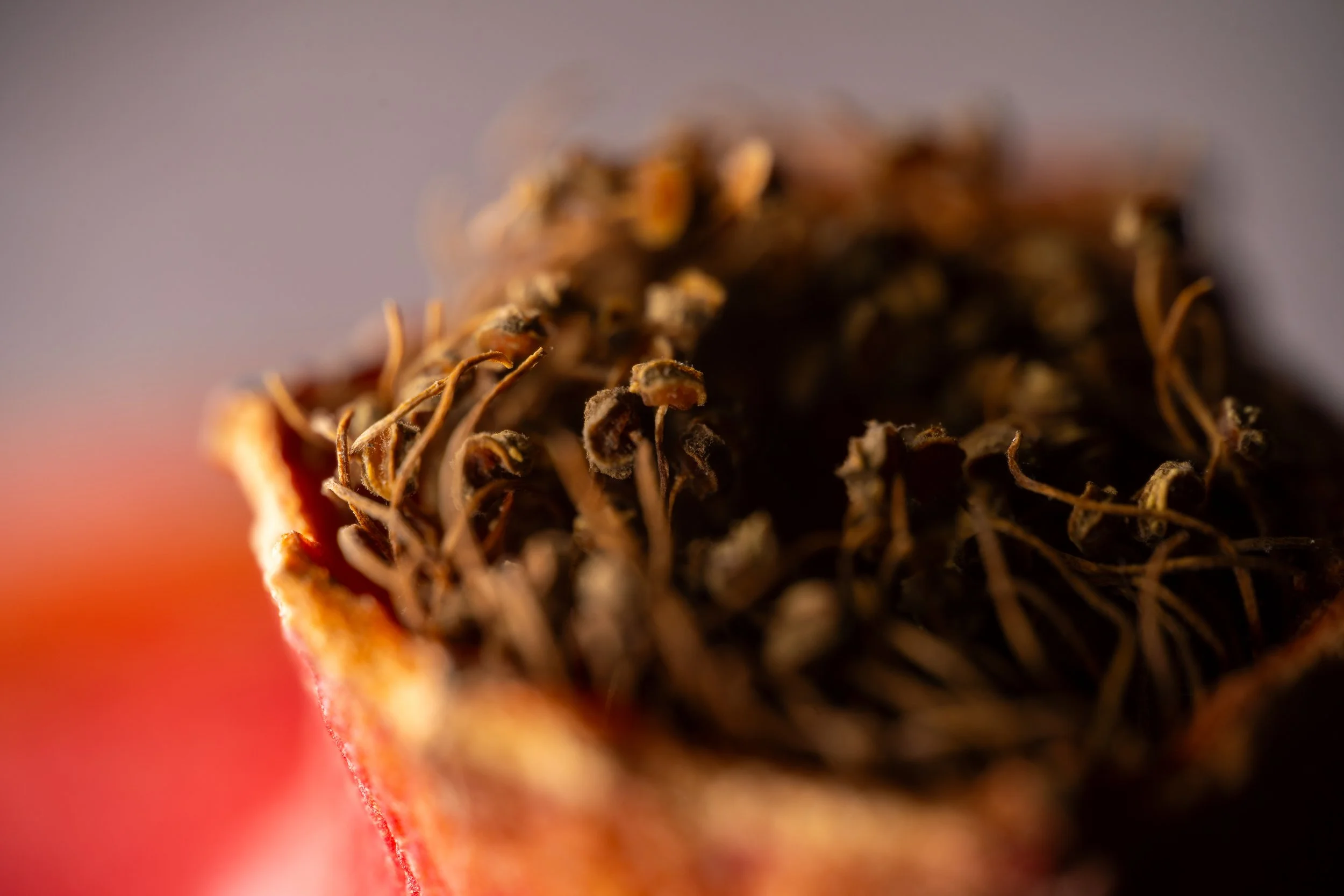 Close-up of a pomegranates crown. Copyright Photography - Christoph Rutenkolk