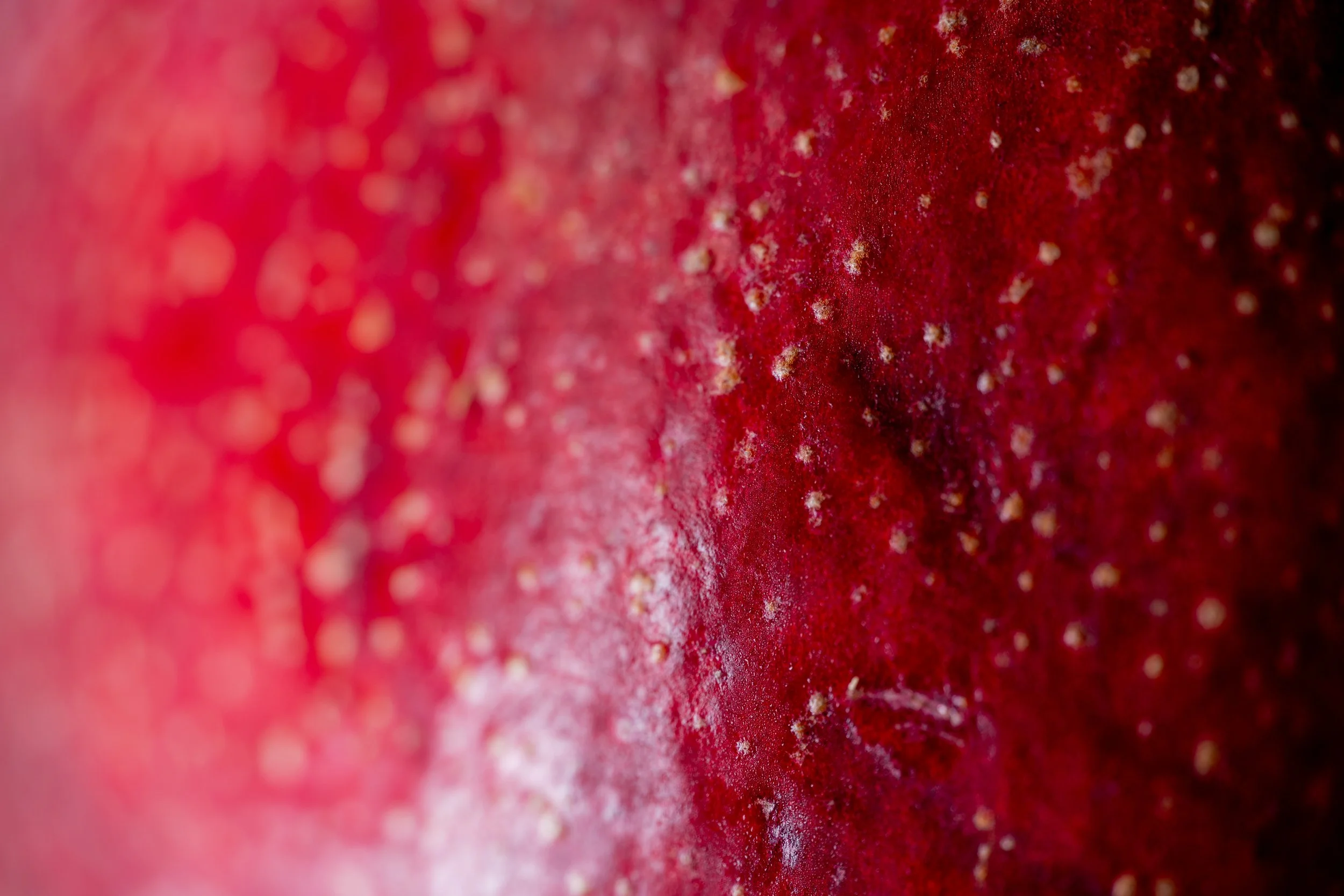 Close-up of a pomegranates crown. Copyright Photography - Christoph Rutenkolk