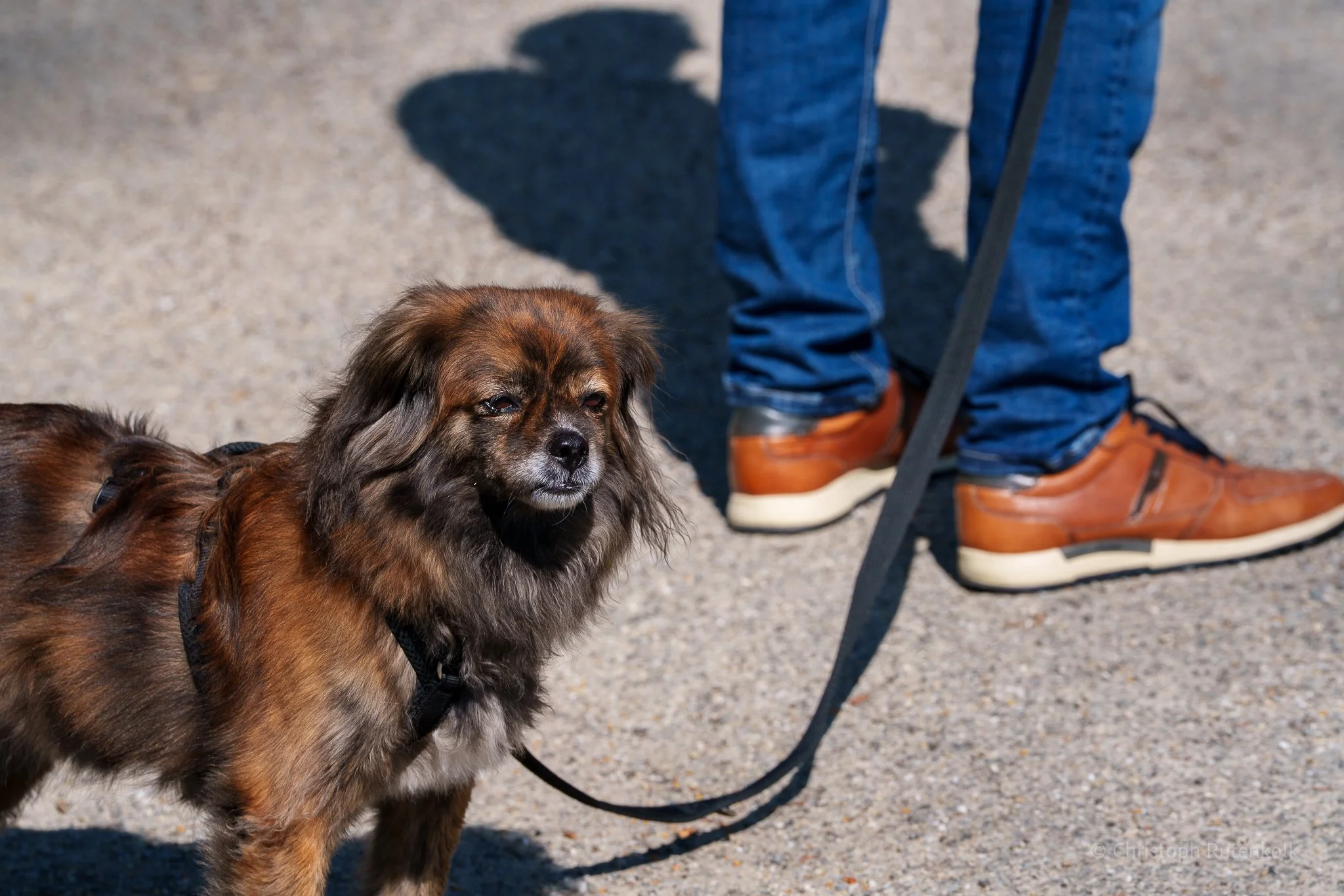 Thumbnail day one herkules hill race-32.jpg