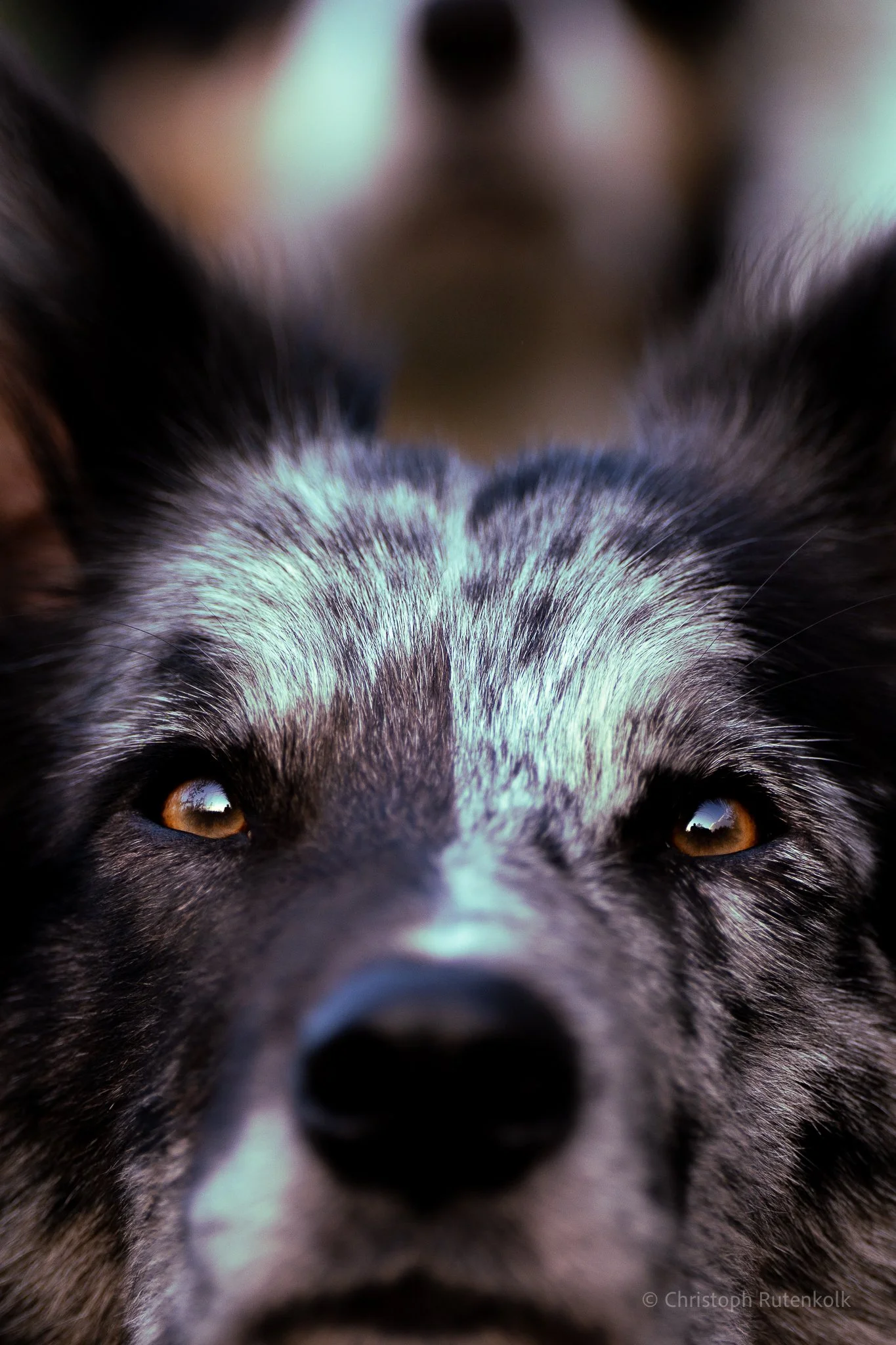 Thumbnail Focus - Snorre.jpg