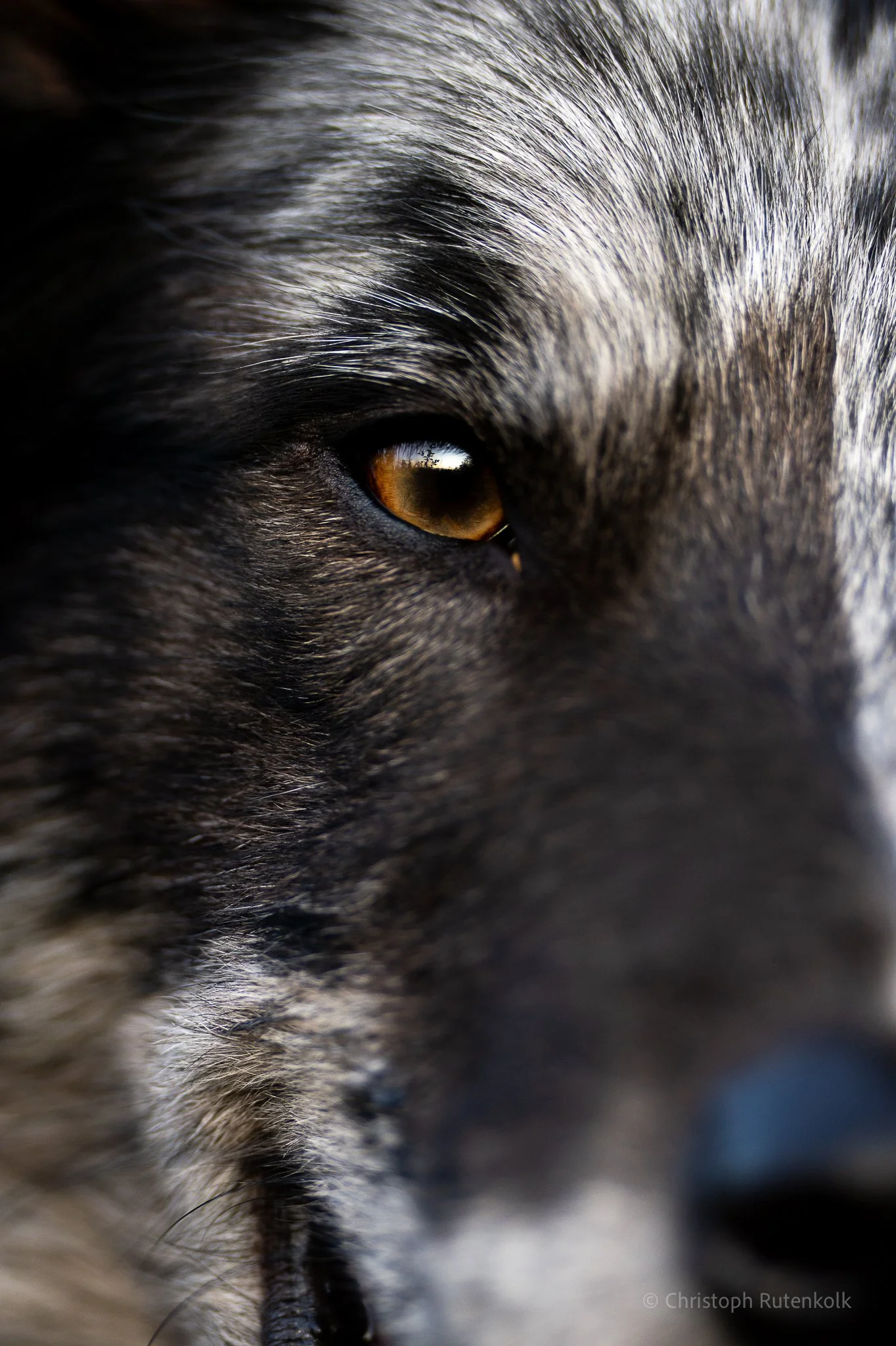 Thumbnail deep look snorre.jpg