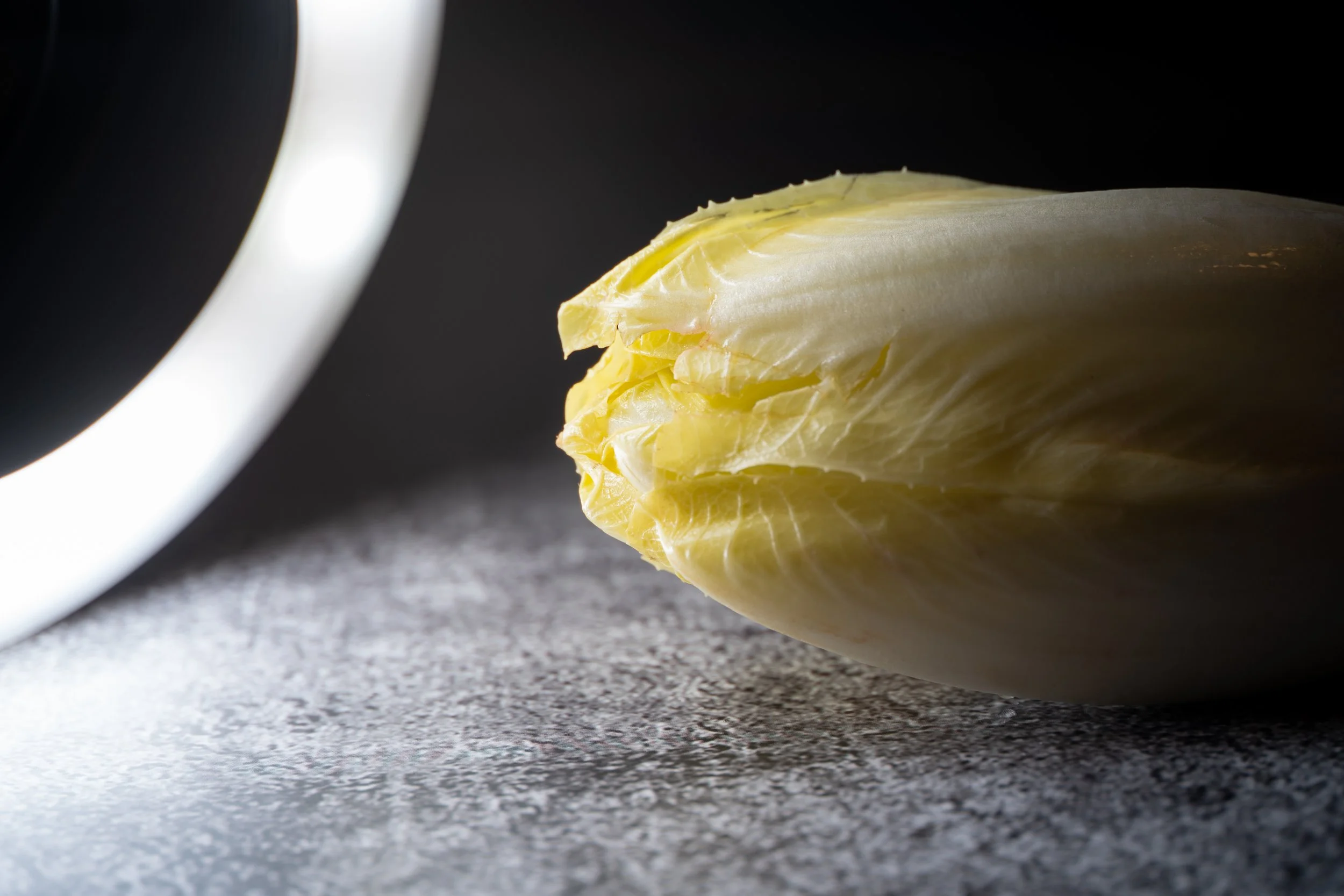 Close-up of a Belgian endive with a bright light source on a textured surface. Copyright Photography - Christoph Rutenkolk