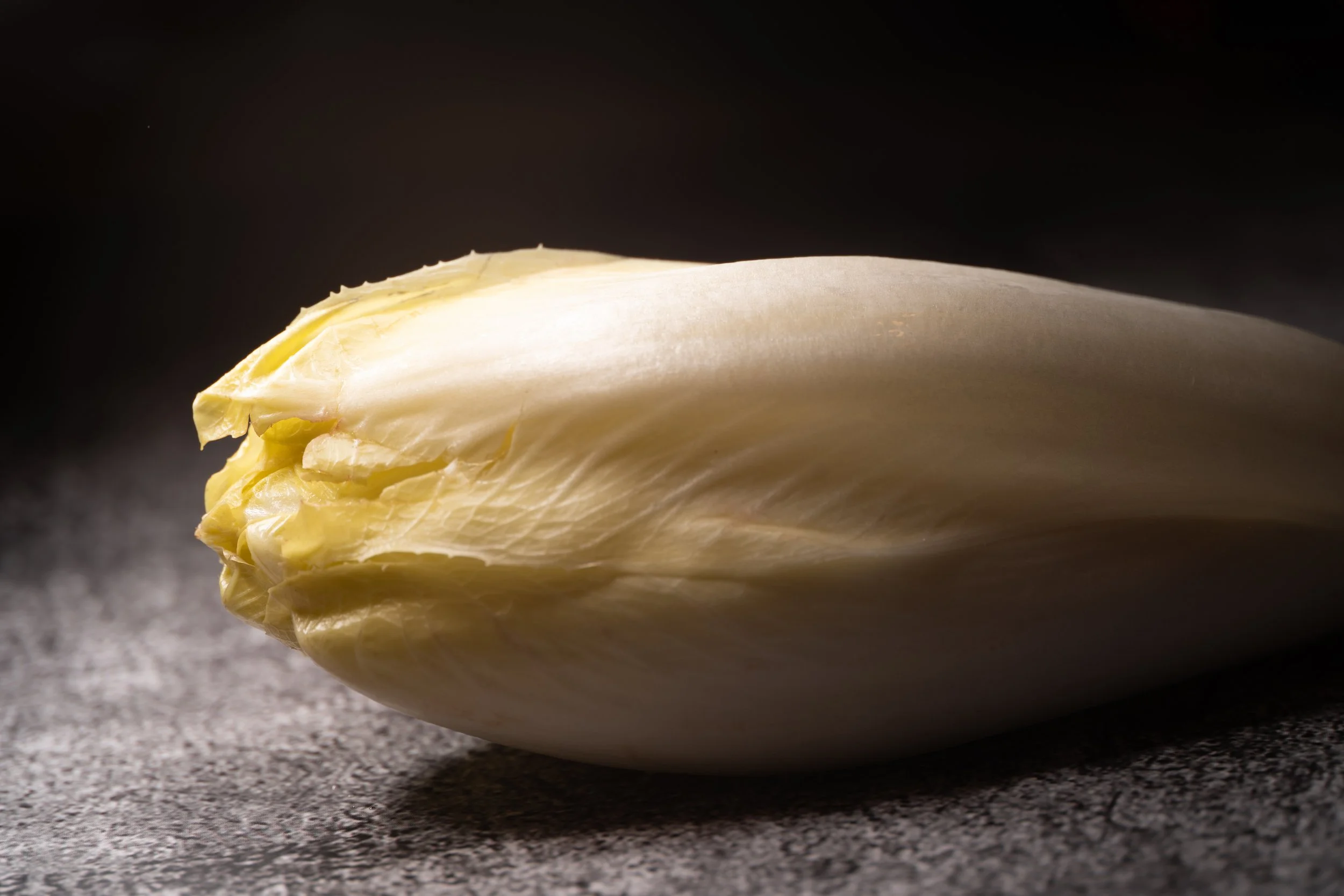 Close-up of a chicory endive on a dark, textured surface. Copyright Photography - Christoph Rutenkolk