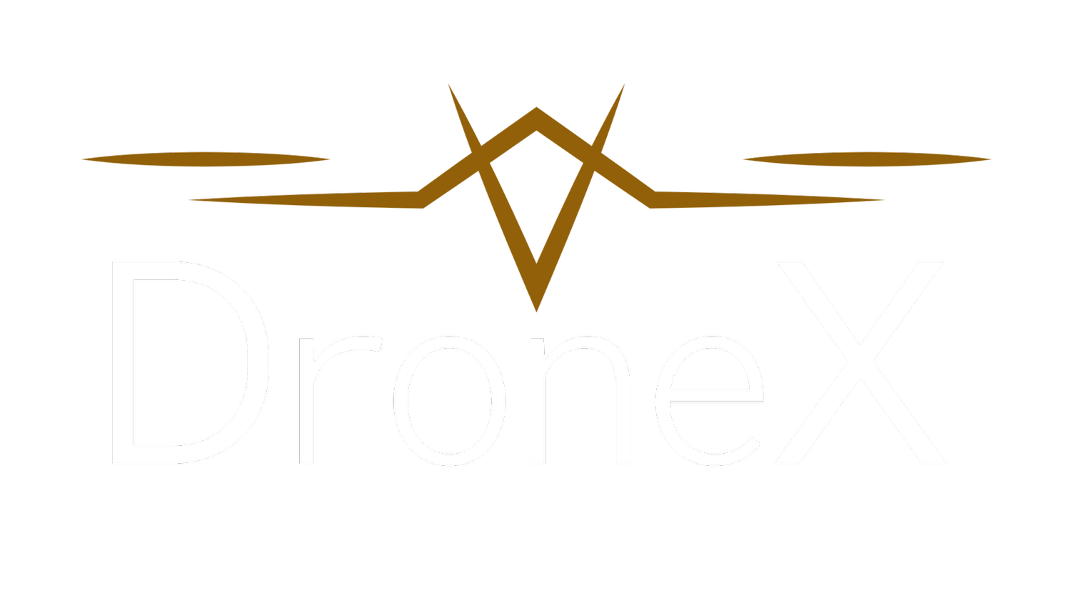 DroneX