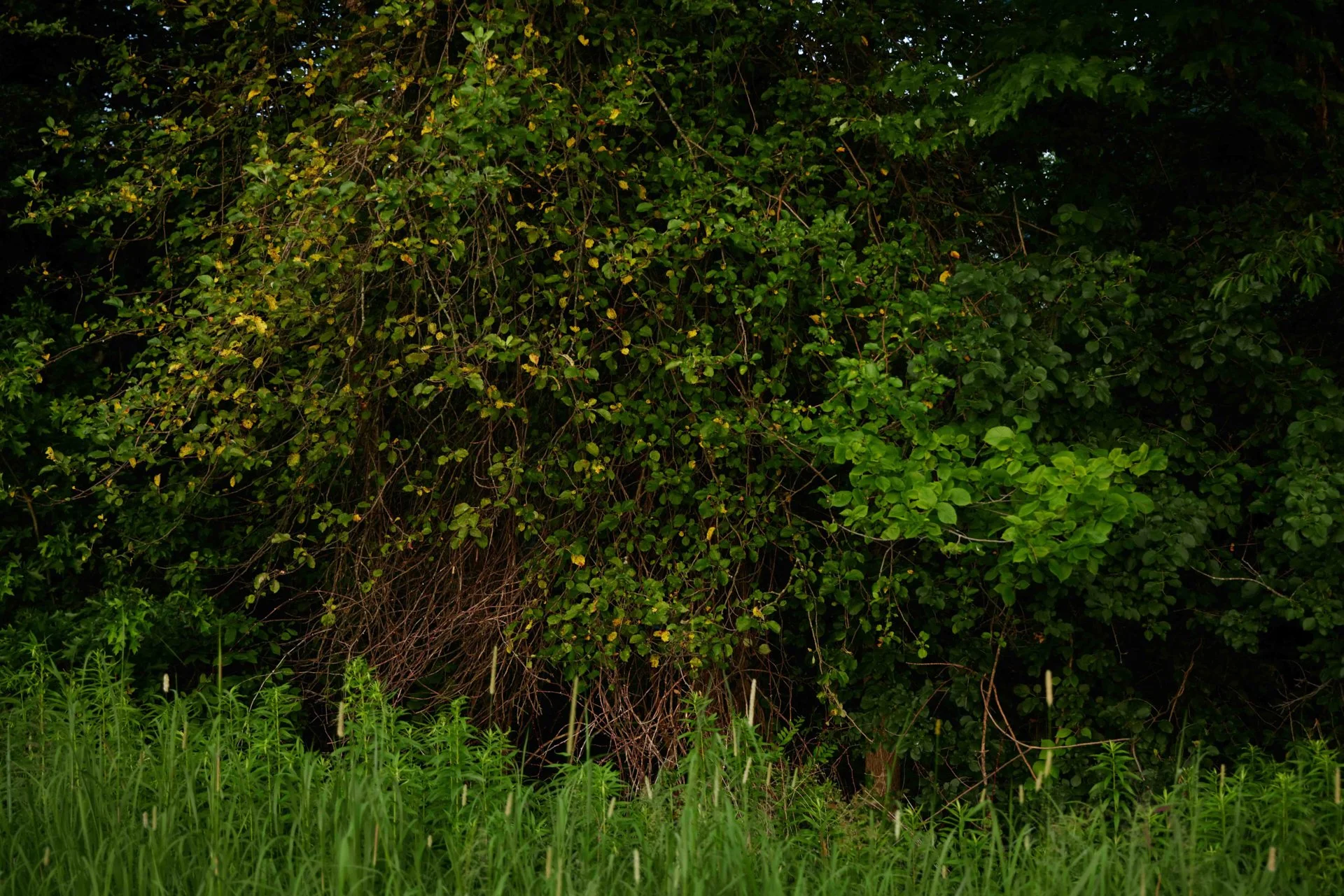 Why Daylight Savings Changes More Than the Clock