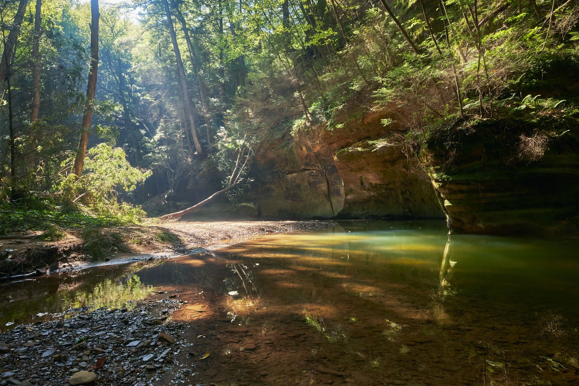 028A6453.jpg
