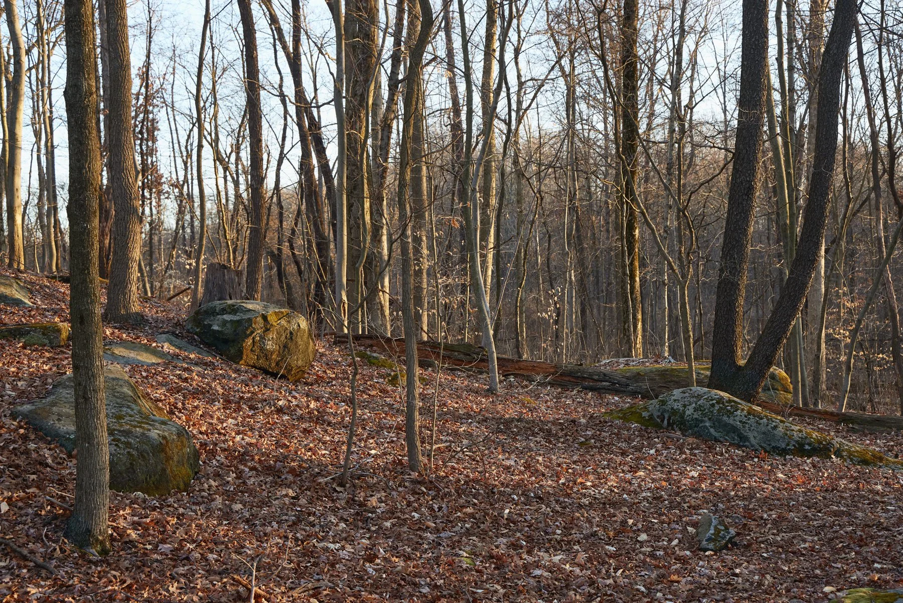 028A3604.jpg