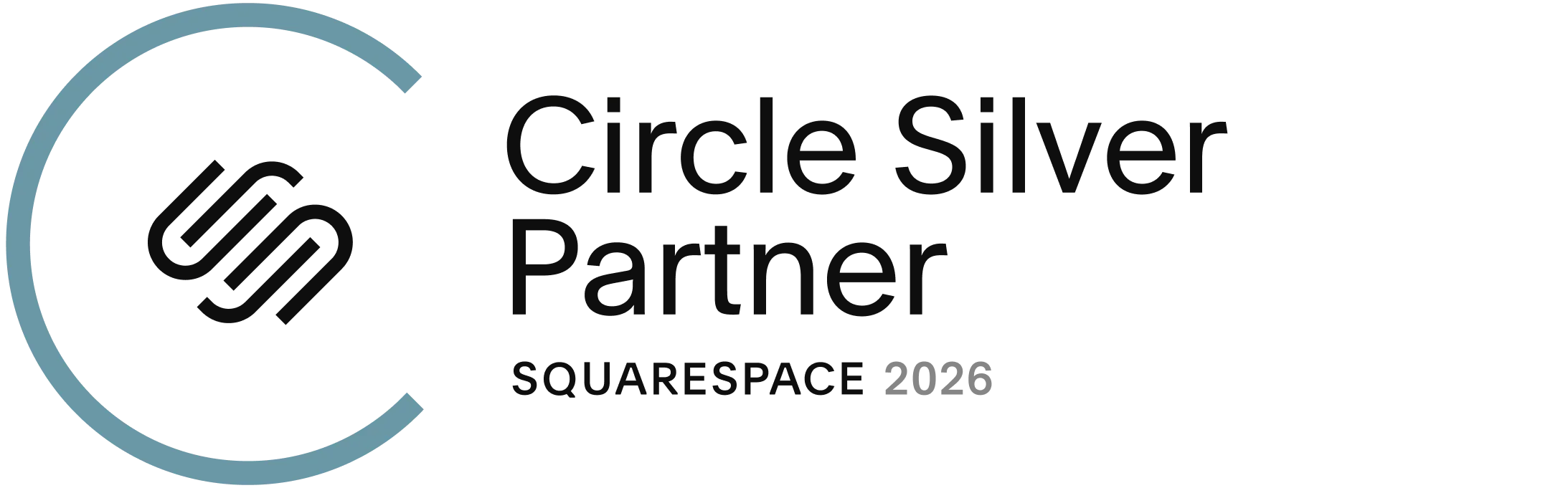 Squarespace Circle Silver Partner-expert in Squarespace design