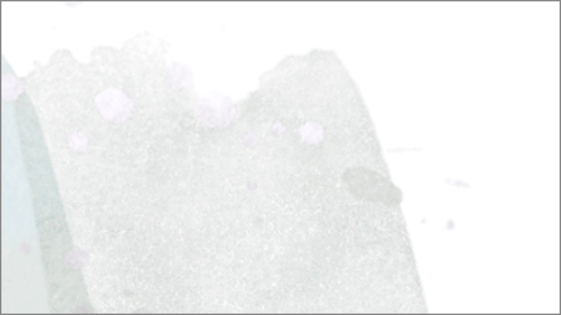 <b> Paul atten Ash - </b>  <p> The 'Golden Mean' </p>