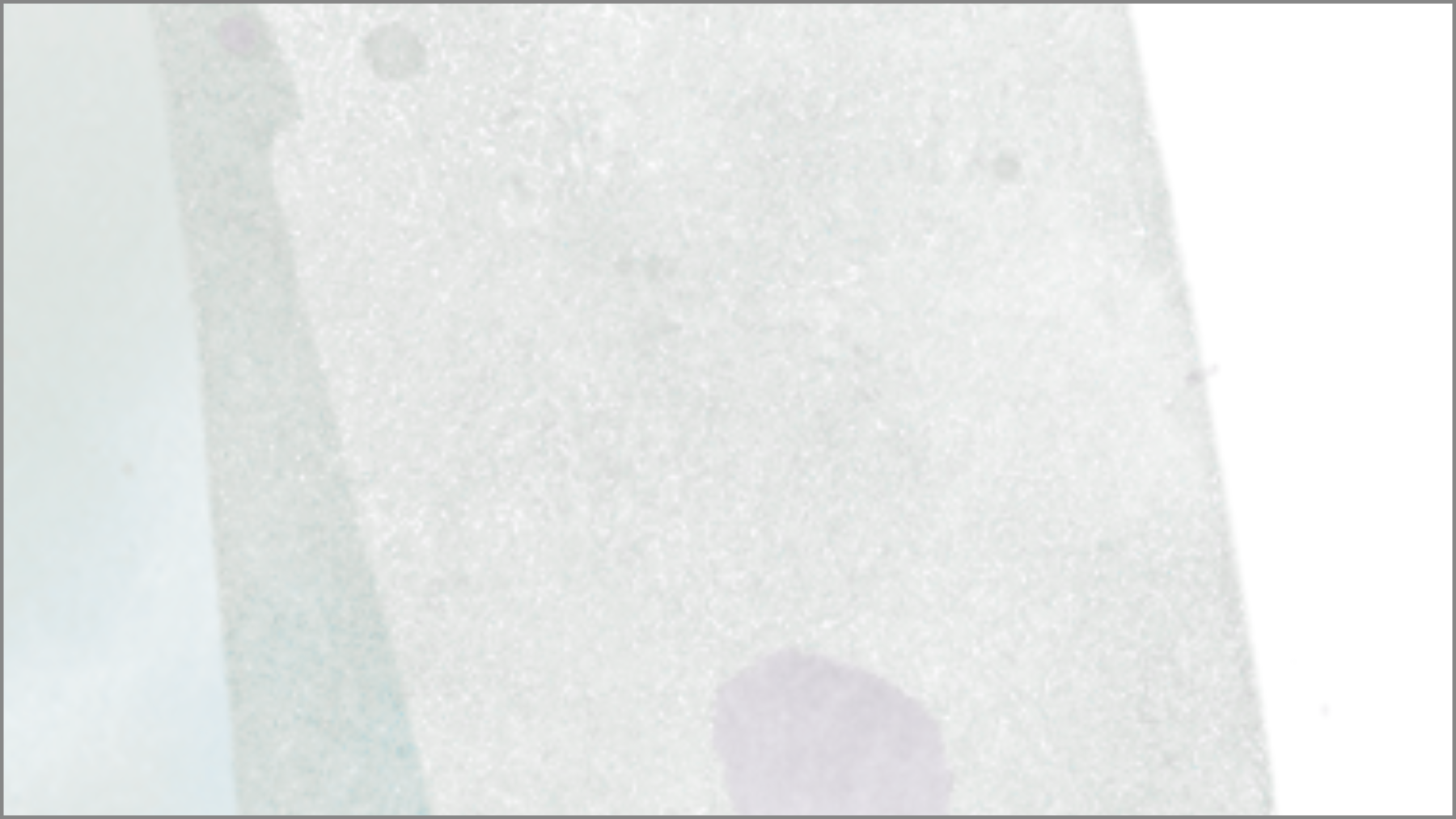 <b> JLM Morton - </b>  <p> Holidaying in Cantabria (multiple choice) </p>