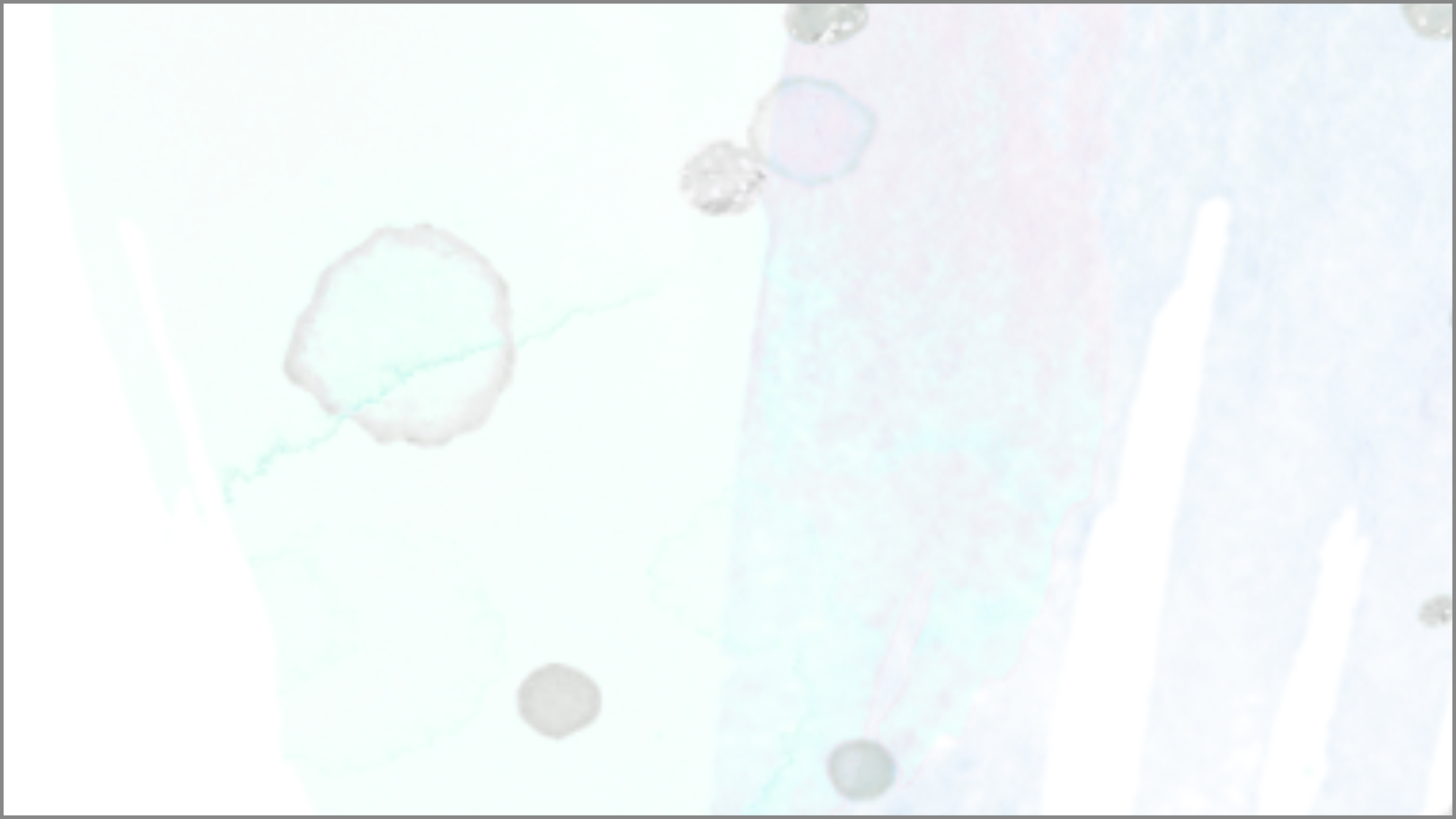 <b> Nick Cooke - </b>  <p> The Pavement </p>