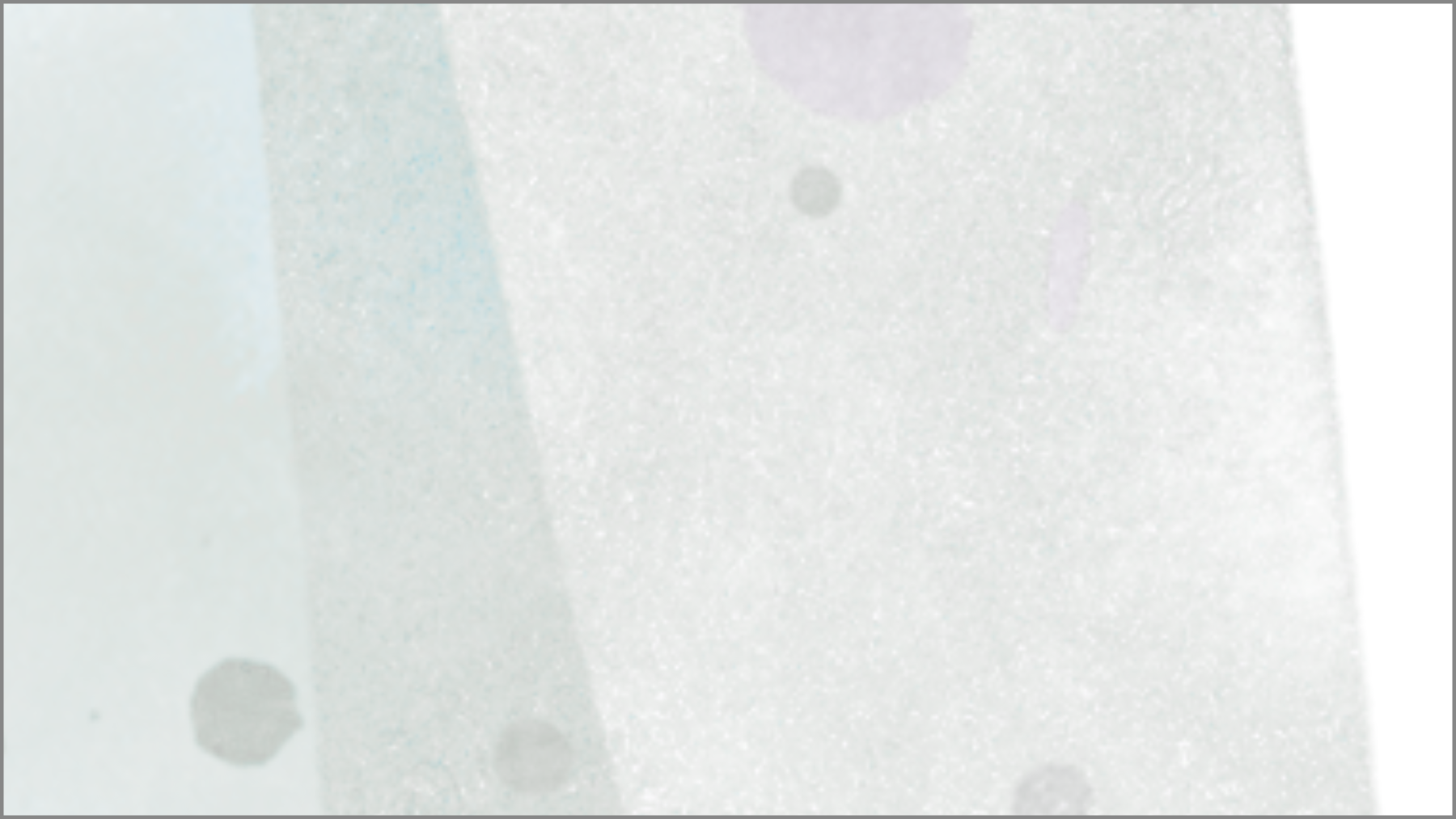 <b> Satya Bosman - </b>  <p> Crossing </p>